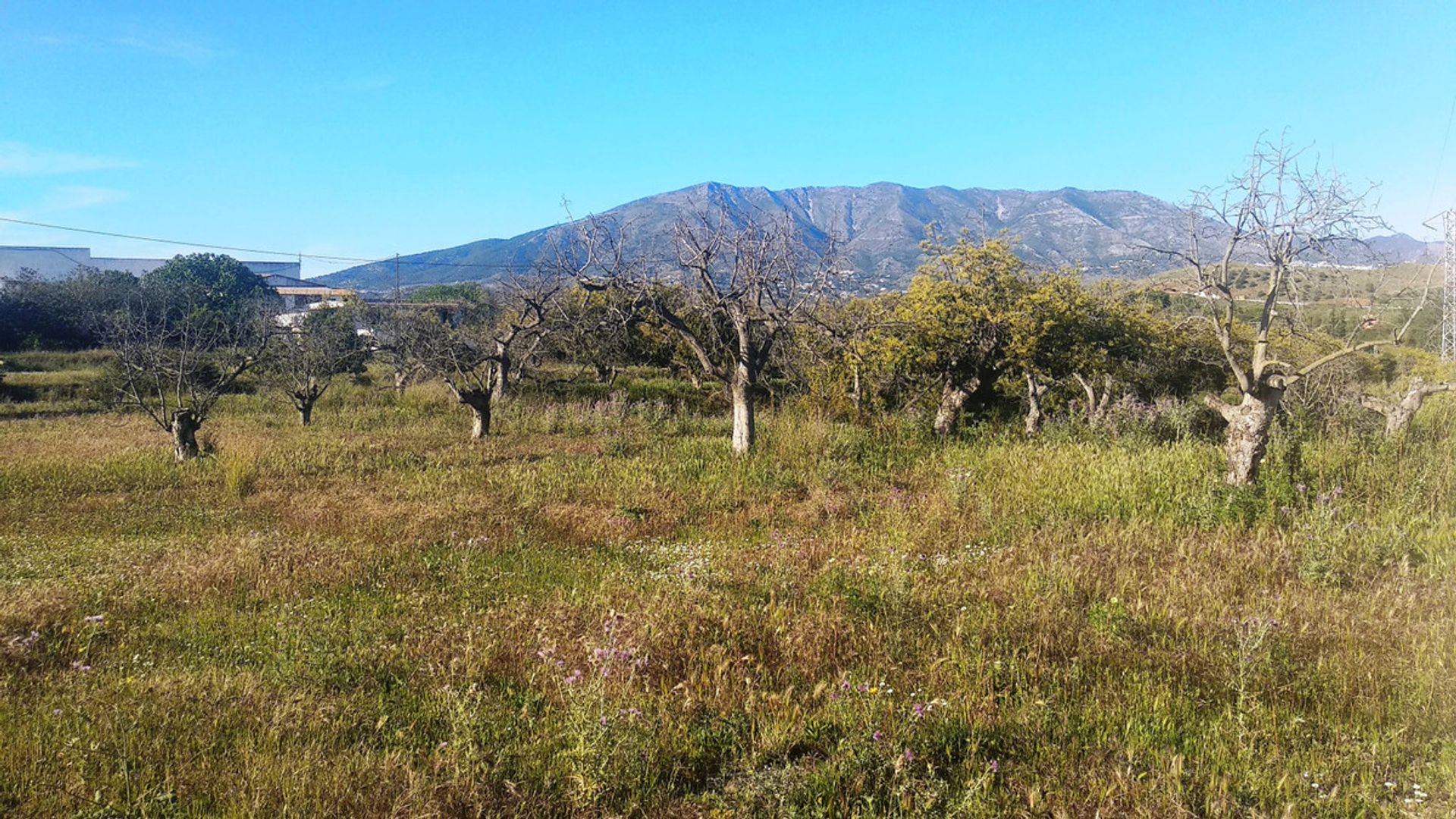 Rumah di Mijas, Andalucía 10764911