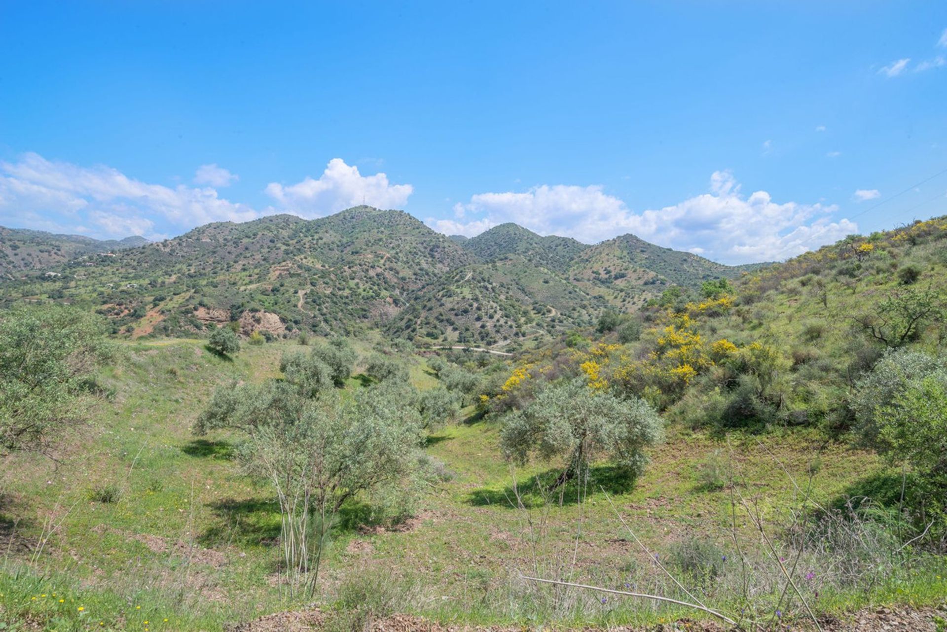 casa no Cartama, Andaluzia 10764997