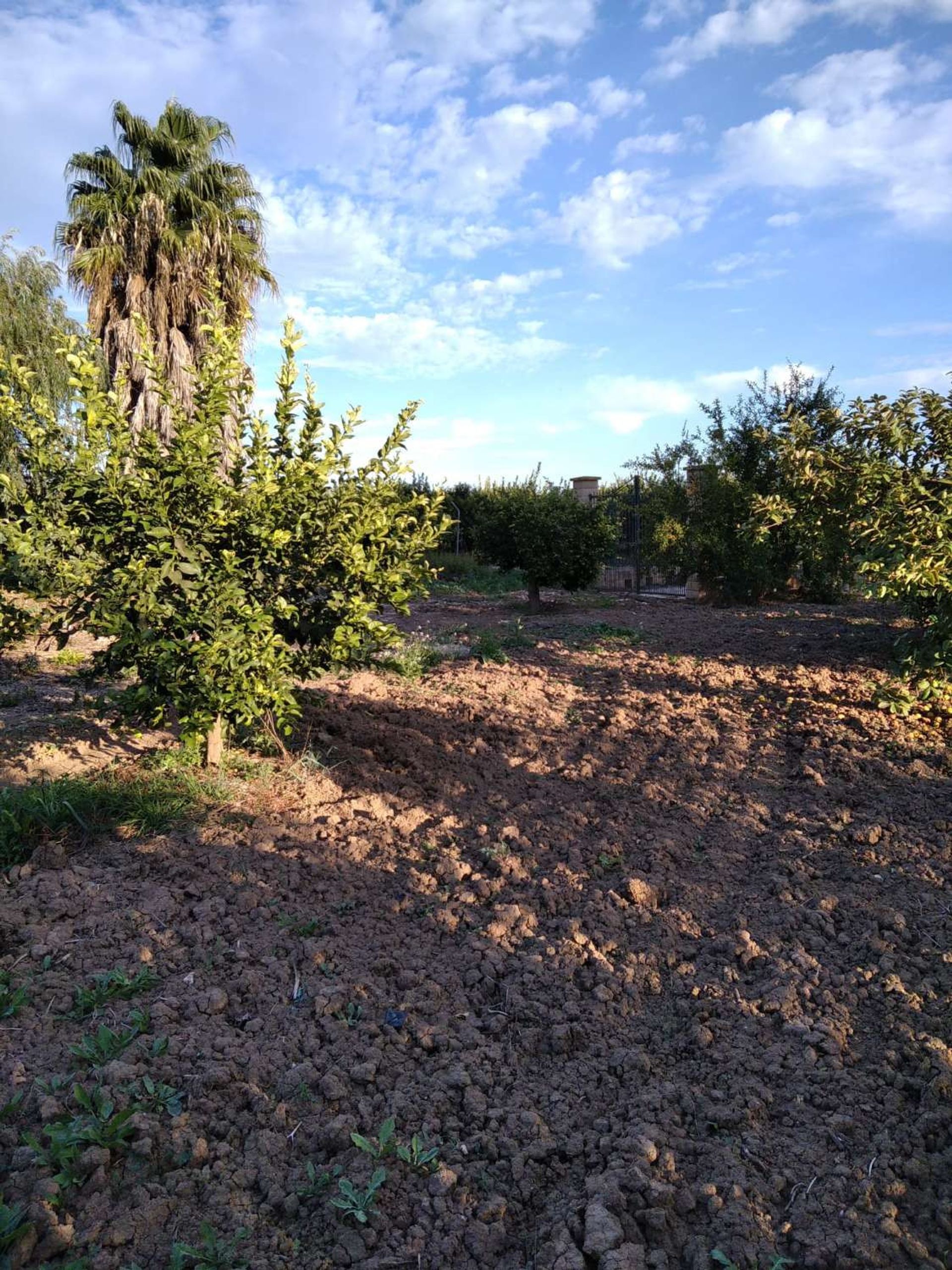 Land in Alhaurin de la Torre, Andalusië 10765032