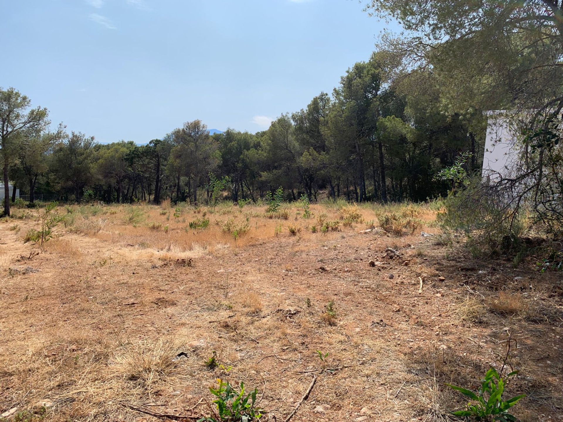 Tierra en El Ángel, Andalucía 10765050