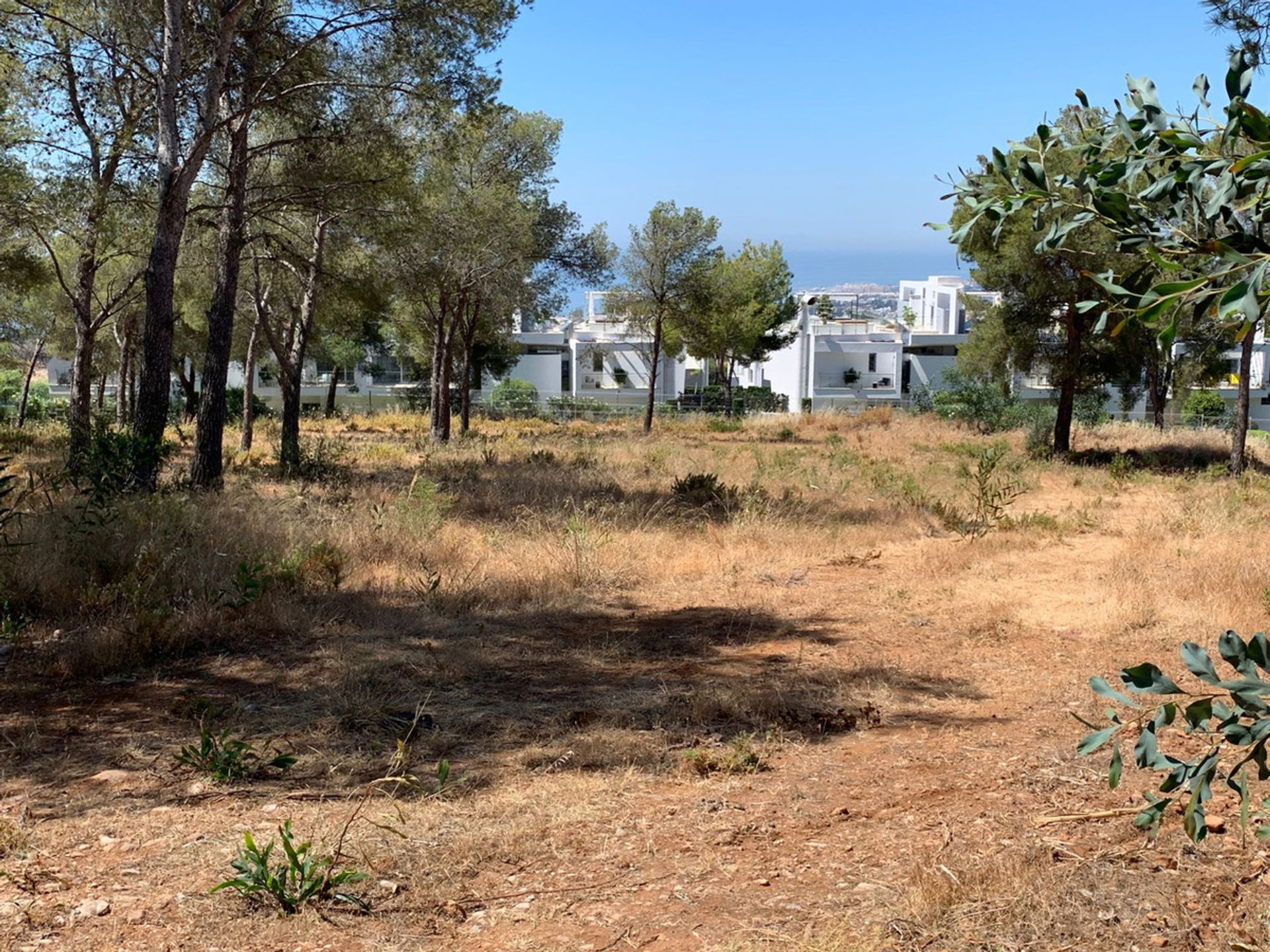 Land in El Engel, Andalusië 10765050