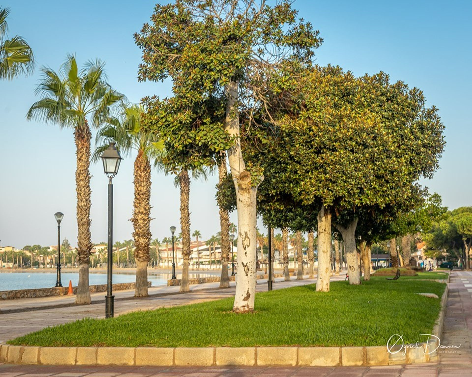 rumah dalam San Javier, Región de Murcia 10765259