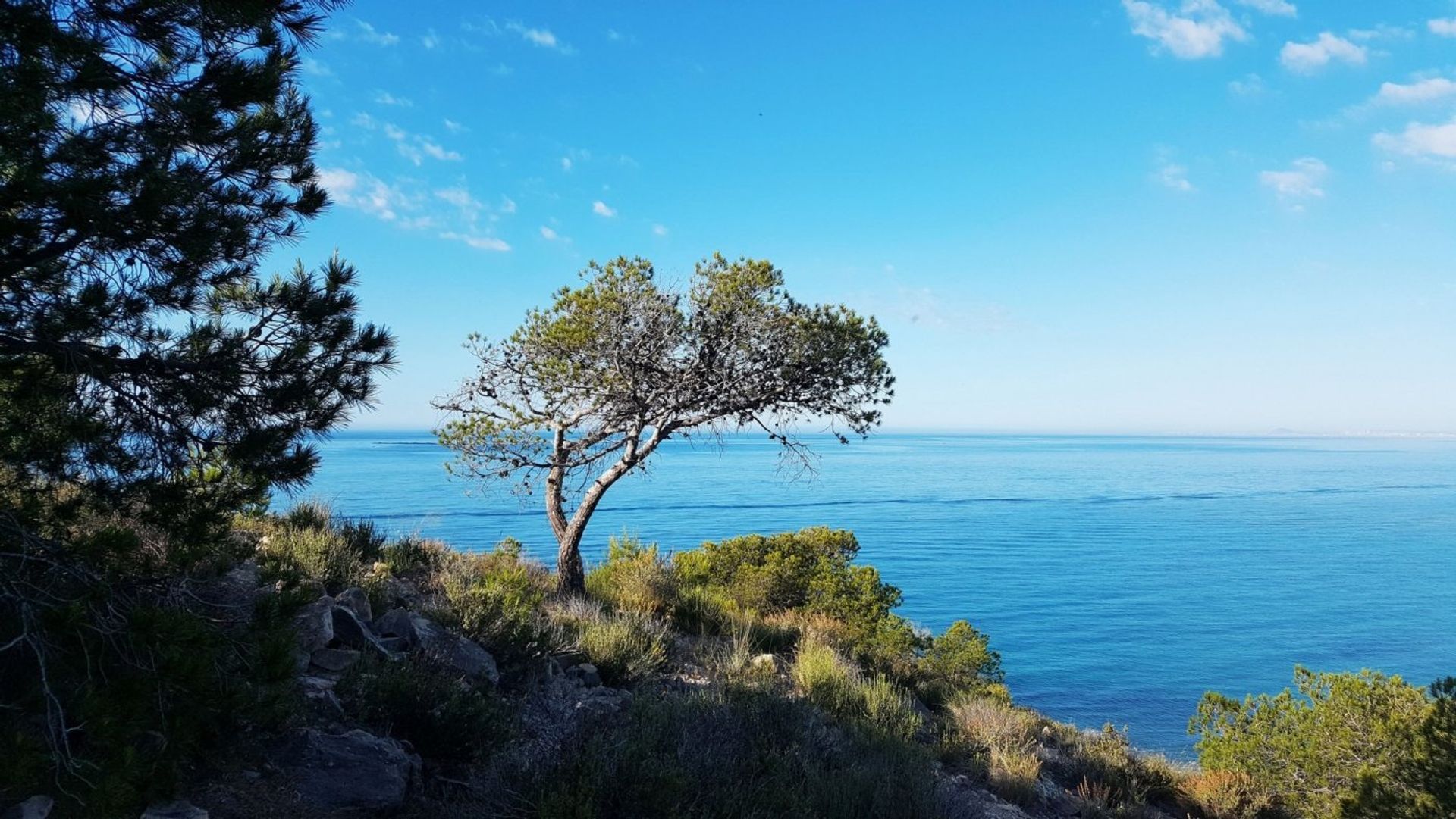 loger dans La Vila Joiosa, Comunidad Valenciana 10765697