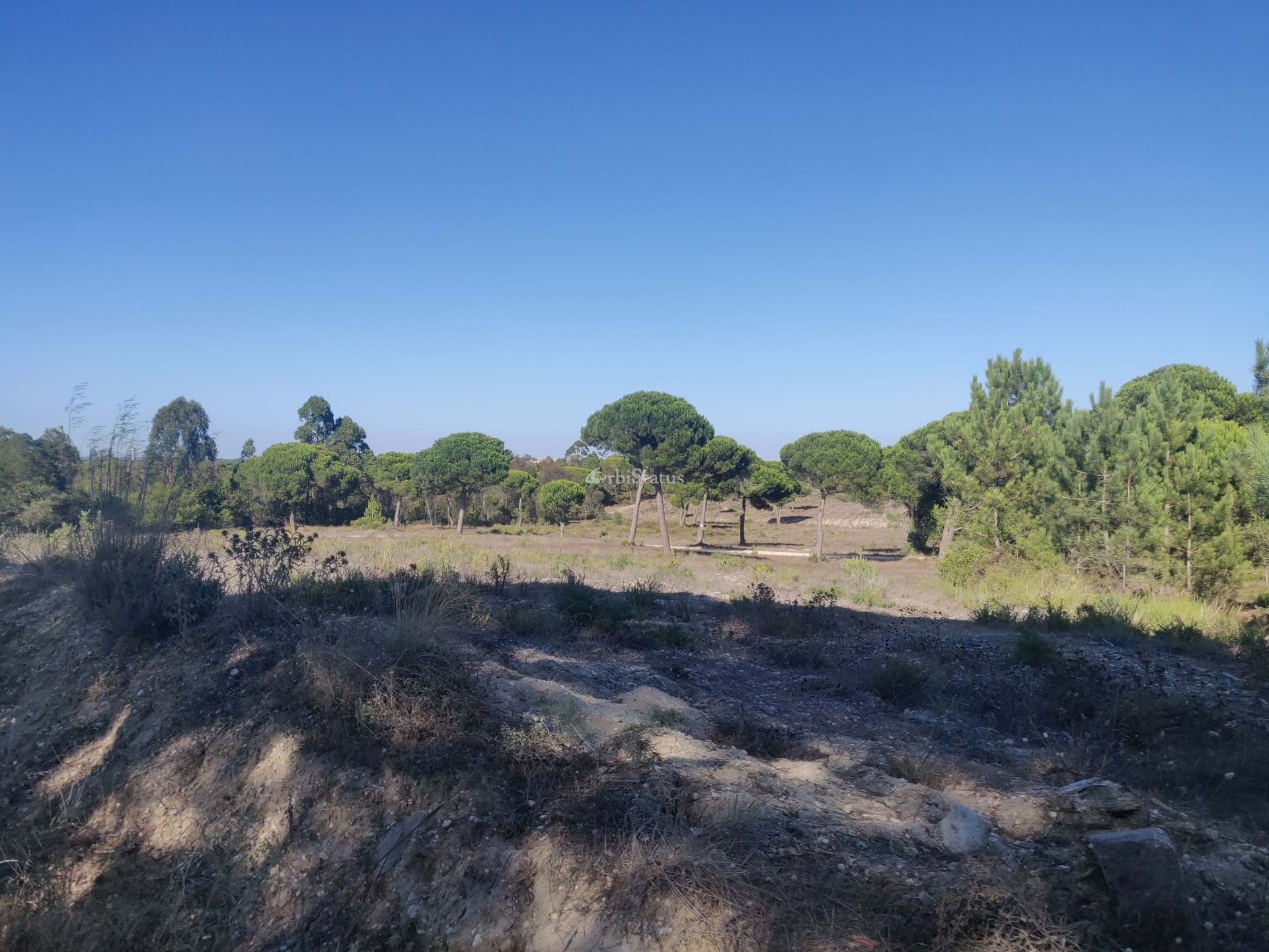 Land in , Setubal 10765845