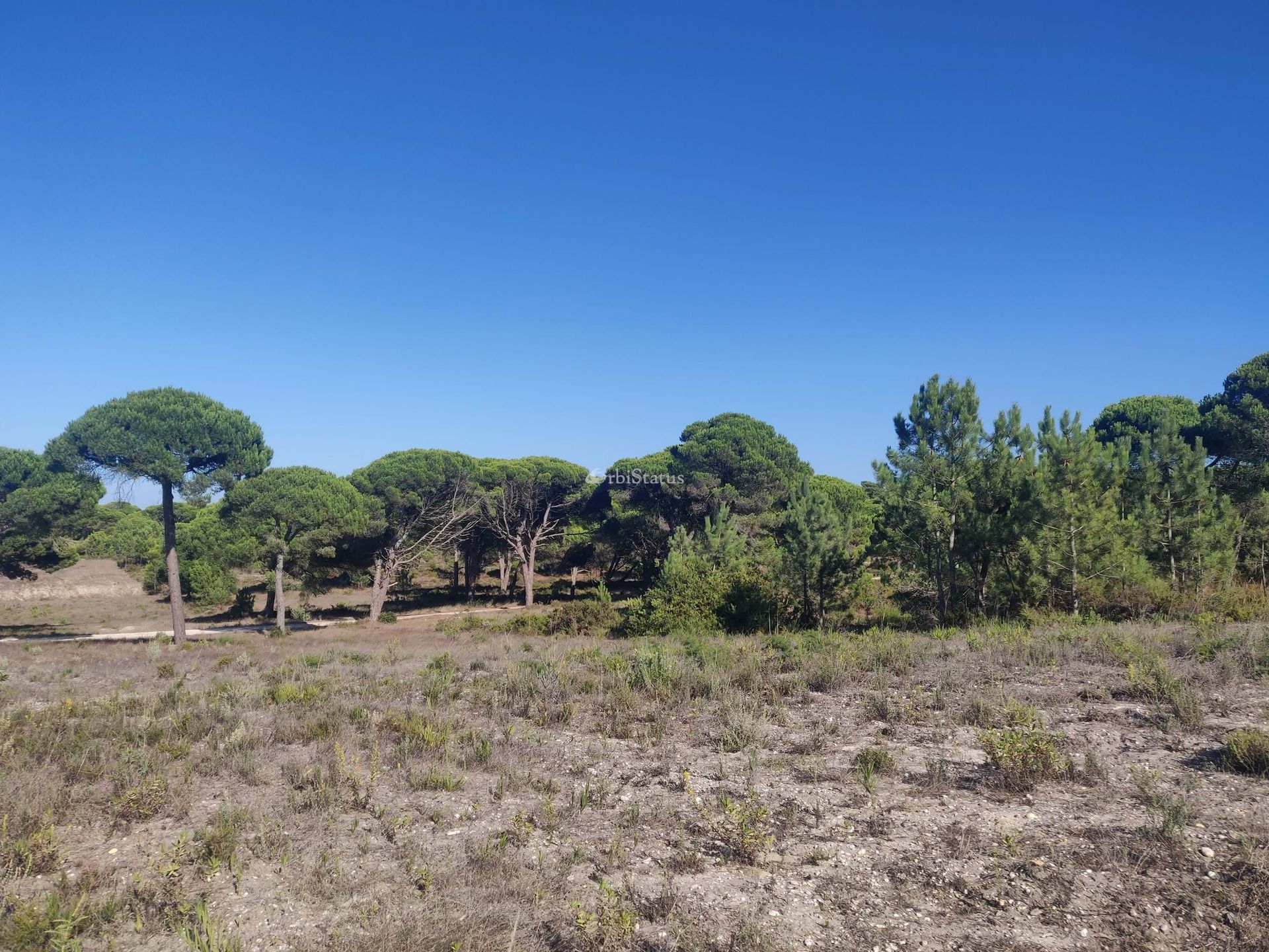 Land in , Setubal 10765845