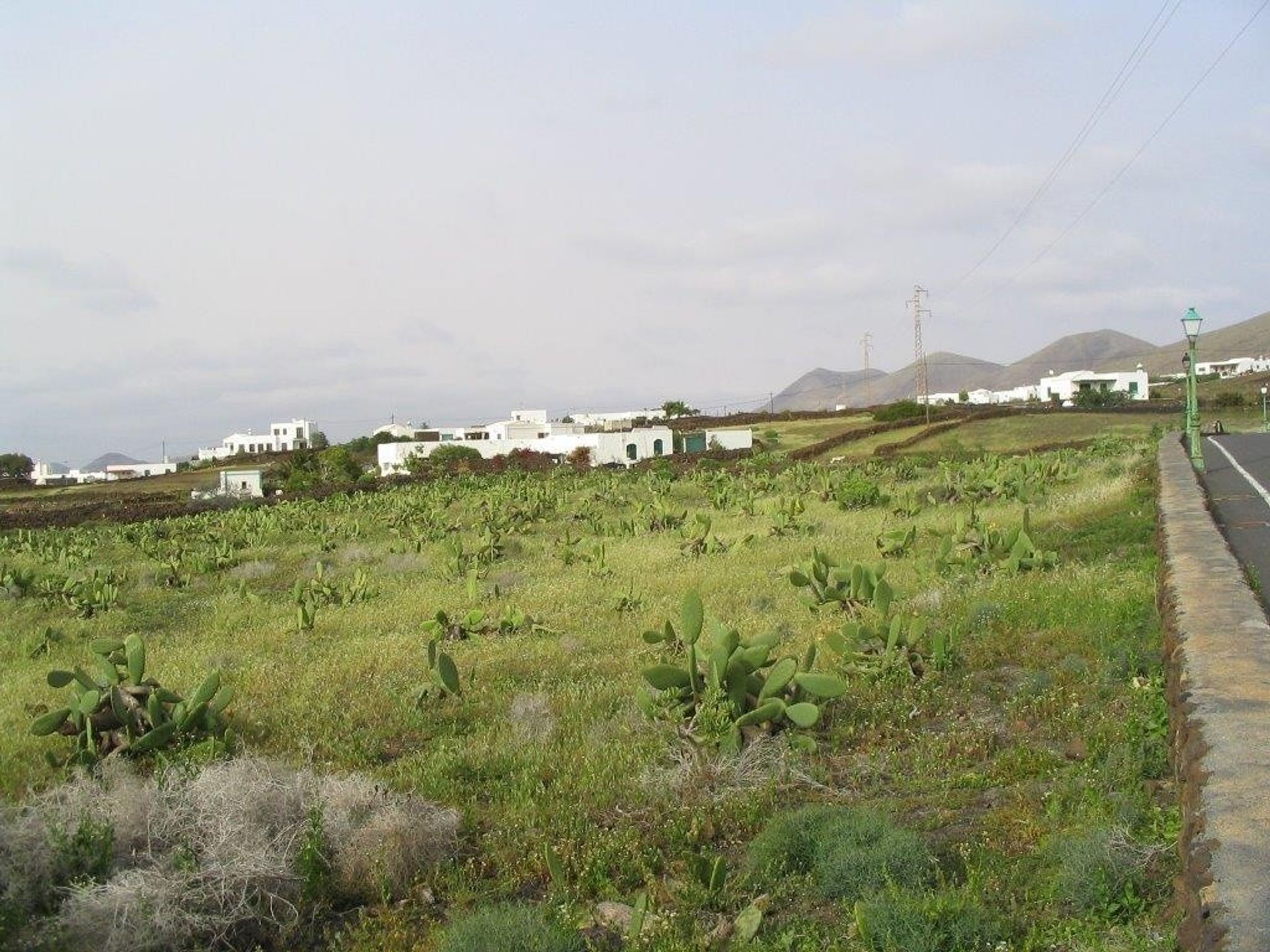 Tierra en uga, Islas Canarias 10765946