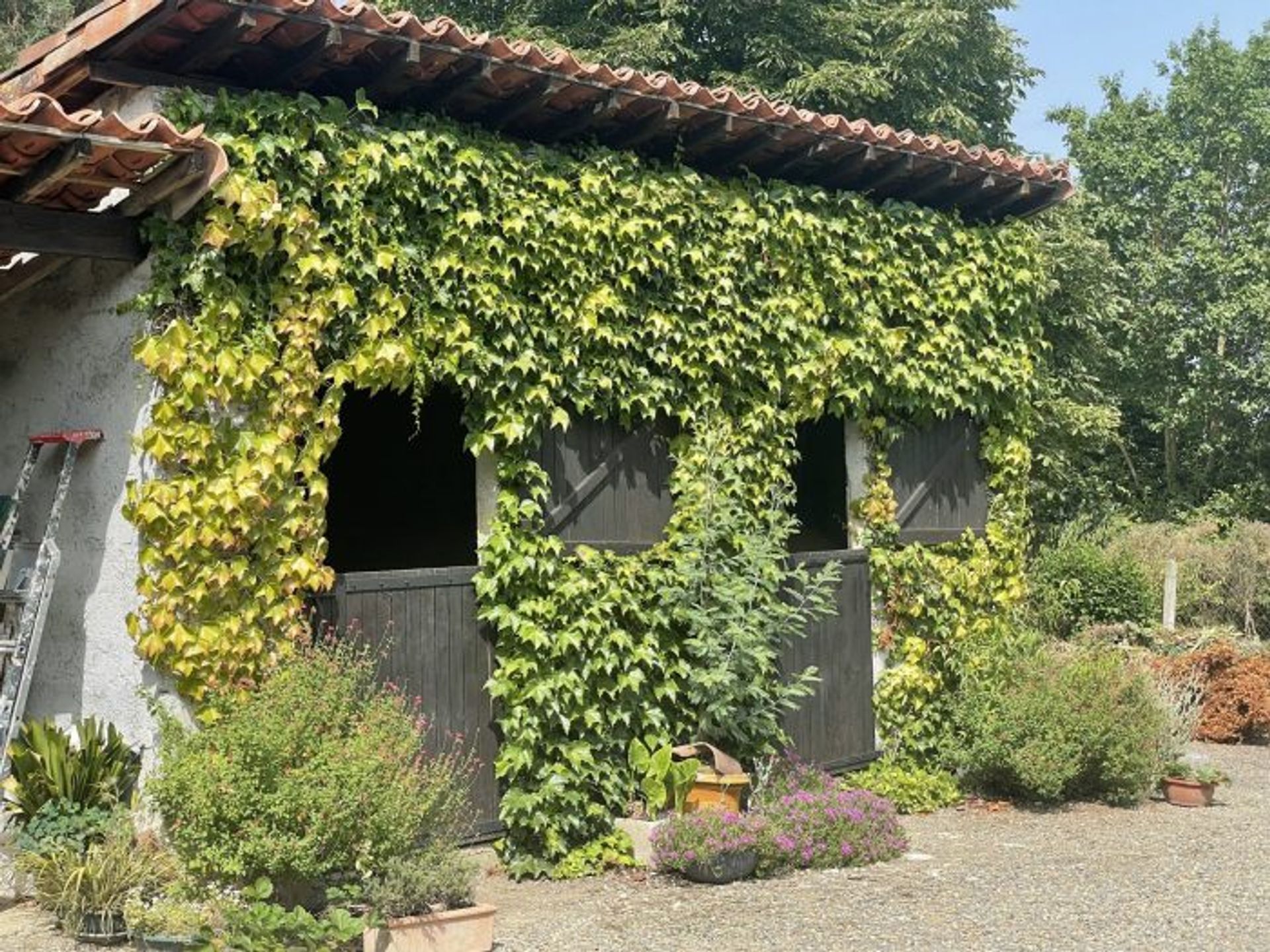 House in Masseube, Occitanie 10765964