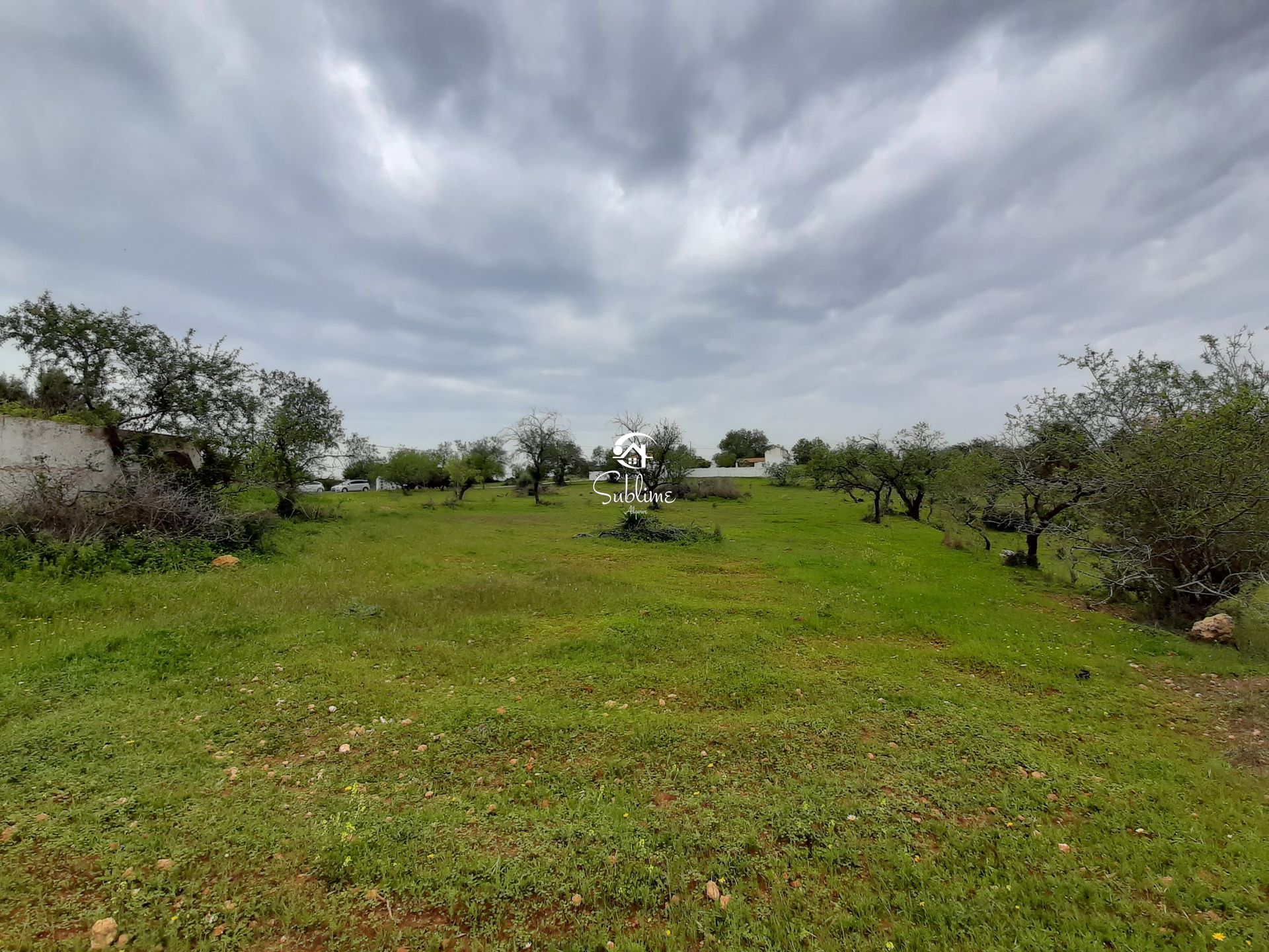 Tierra en Armação de Pera, Faraón 10765993