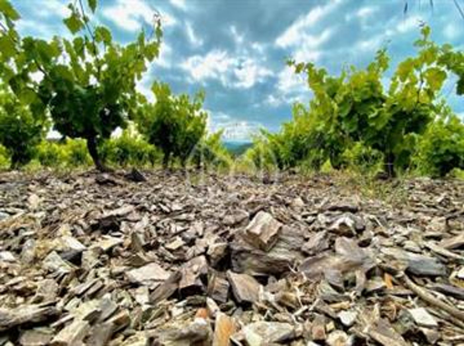 بيت في Villeneuve-les-Corbieres, Occitanie 10769198