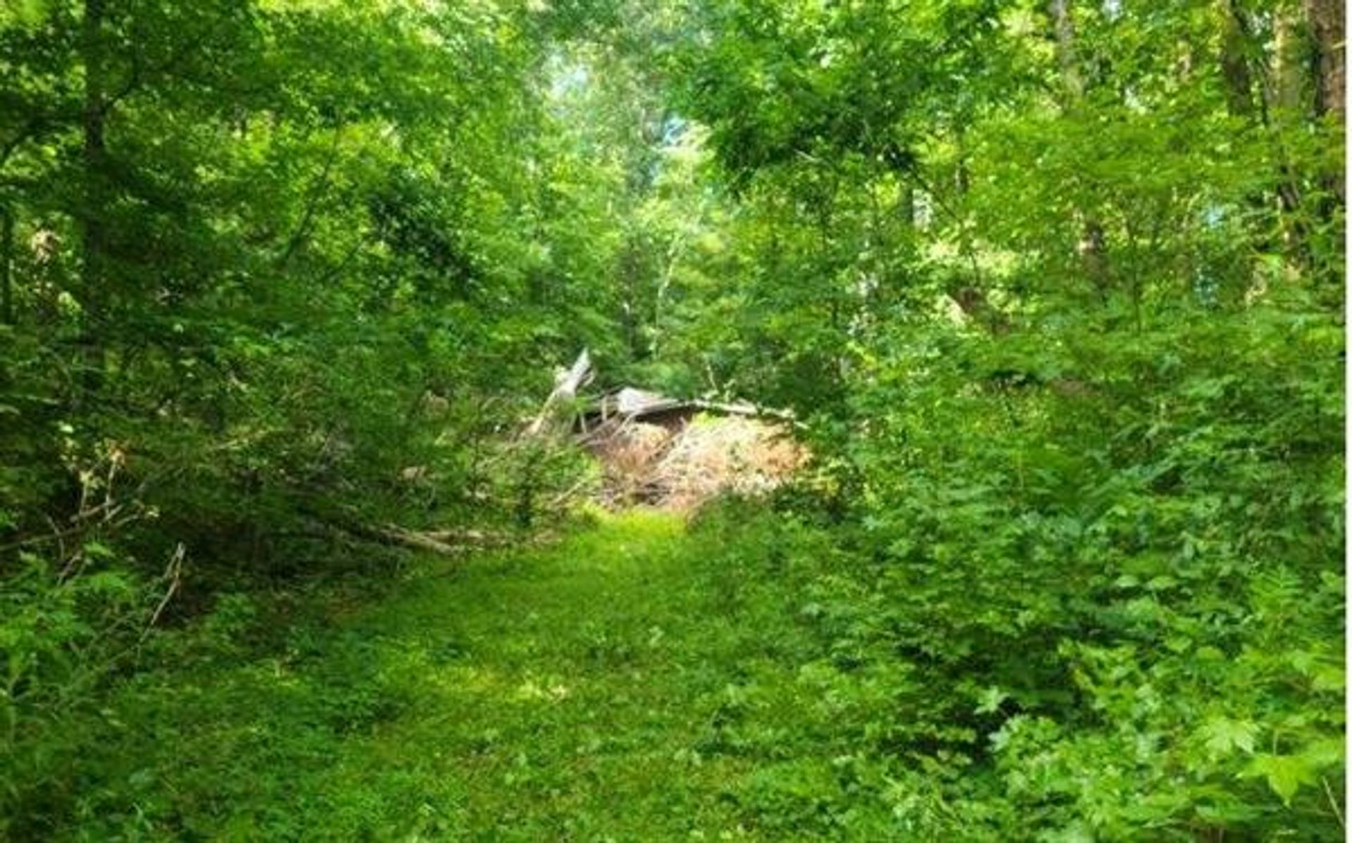 Land in Ballew Molen, Georgië 10769446