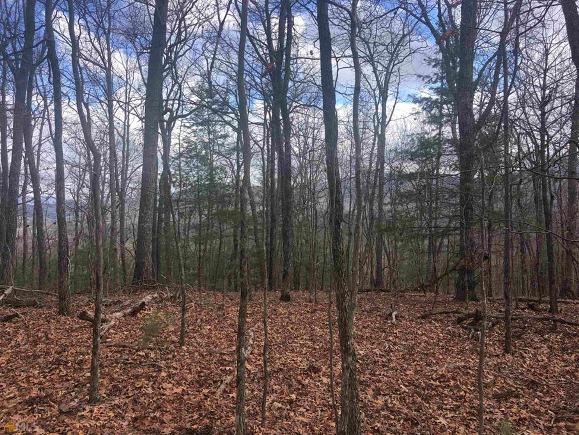 Land i Bunker Hill, Georgia 10769496