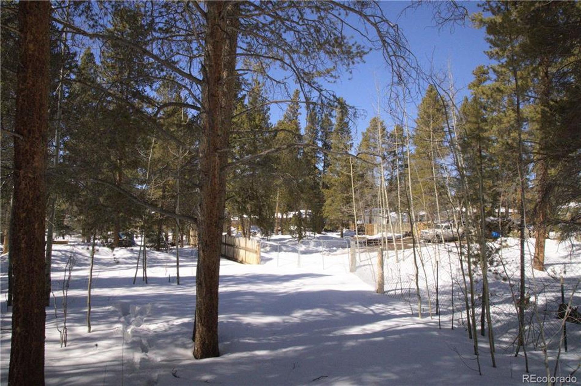 Land in Leadville, Colorado 10769873