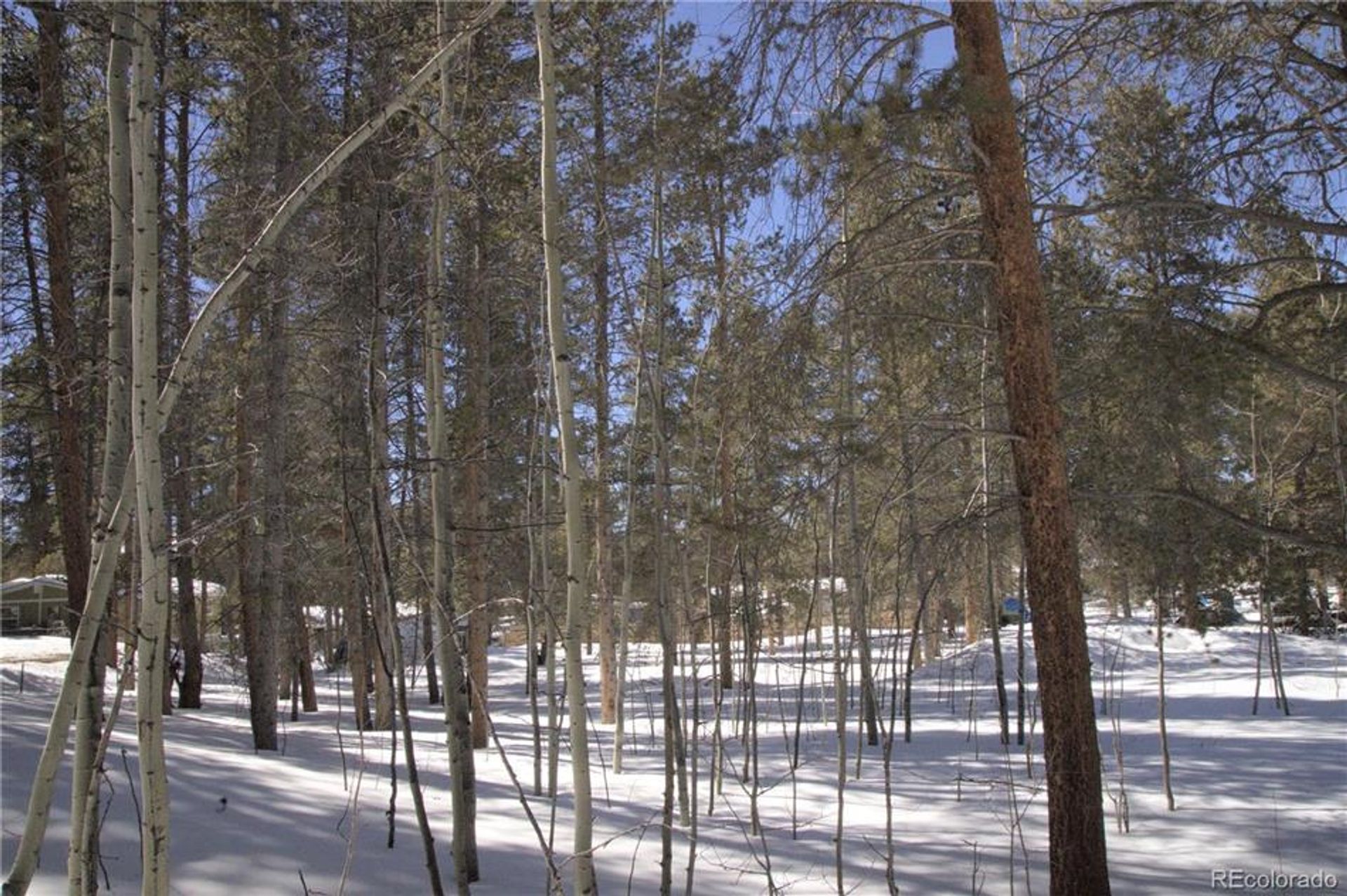 Земельные участки в Leadville, Colorado 10769873