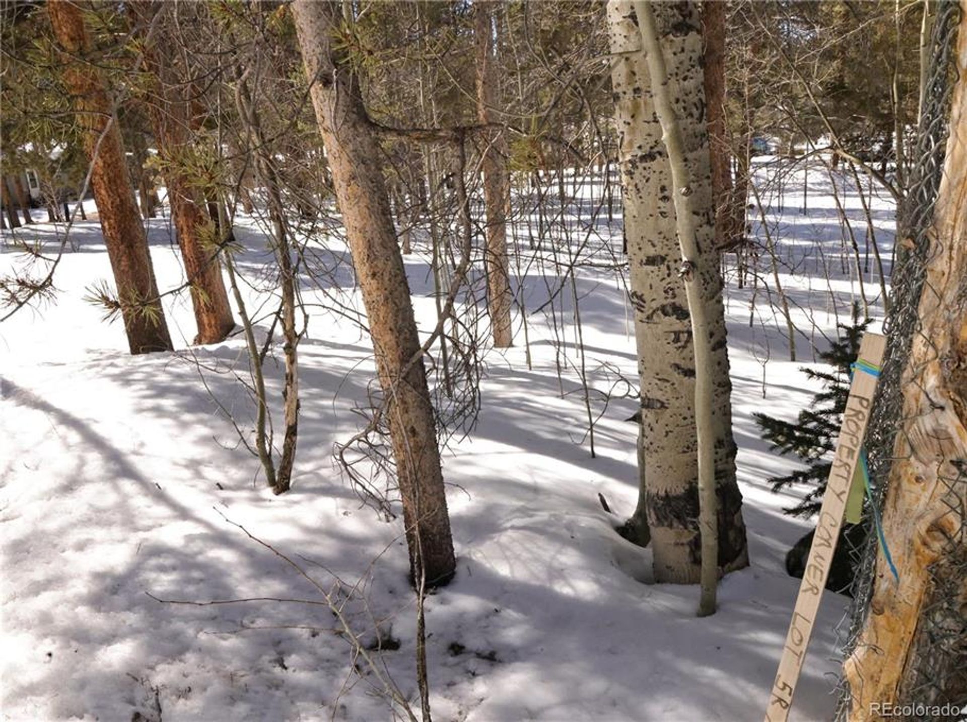 土地 在 Leadville, Colorado 10769873