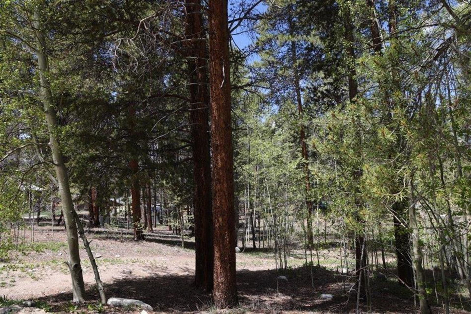 Land in Leadville, Colorado 10769874