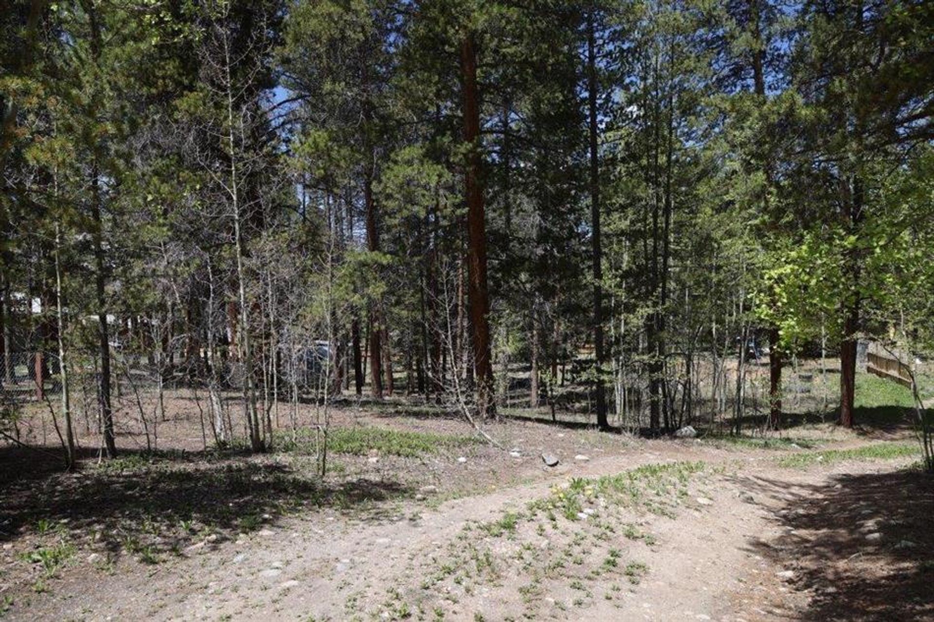 Land in Leadville, Colorado 10769874