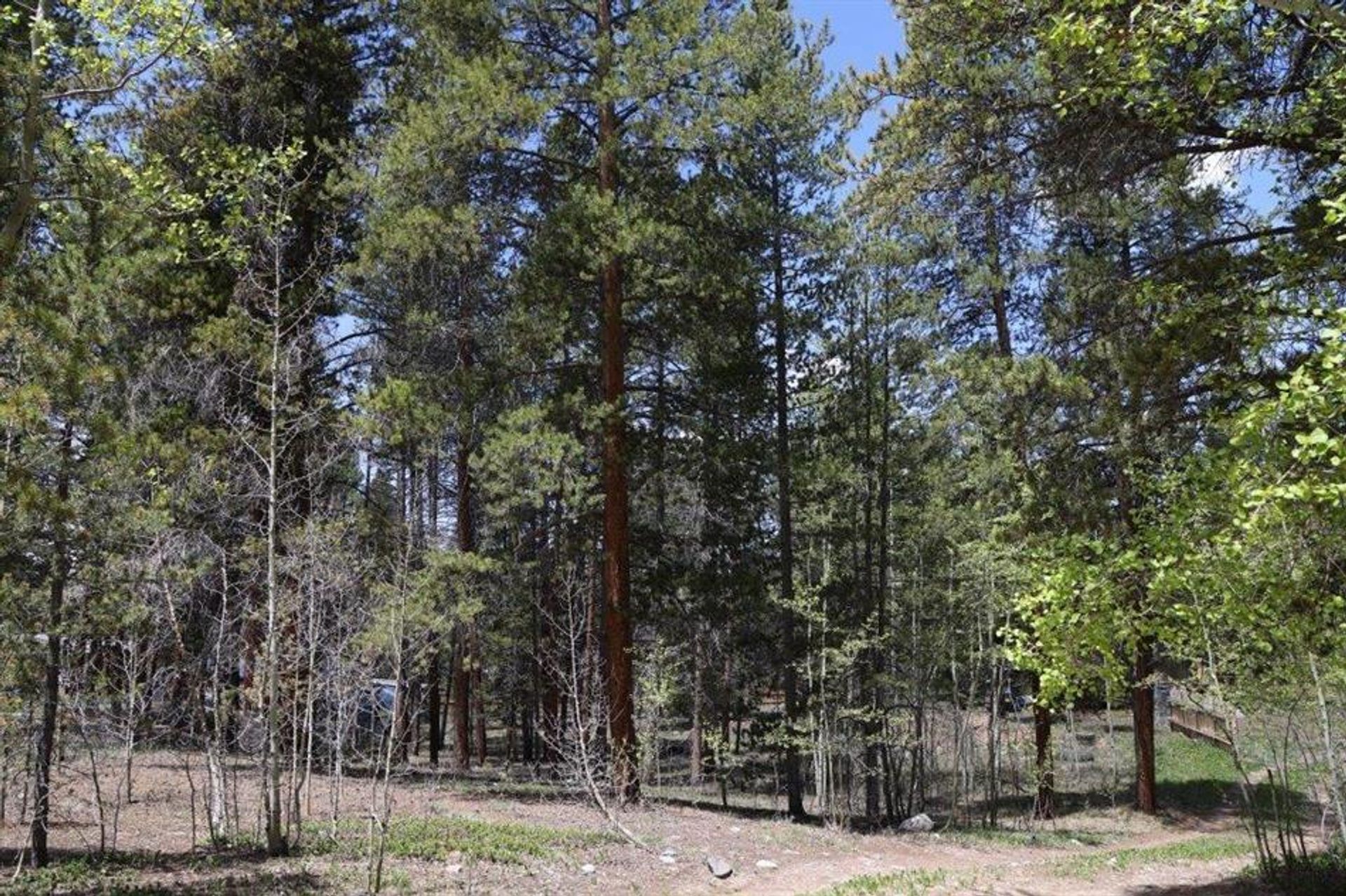 Land in Leadville, Colorado 10769874