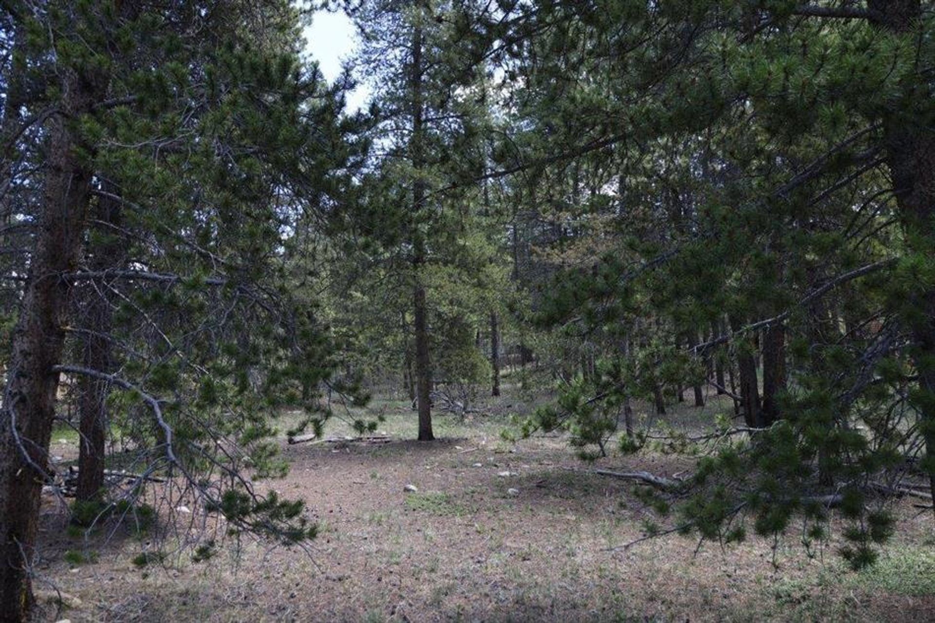 Land in Leadville, Colorado 10769874