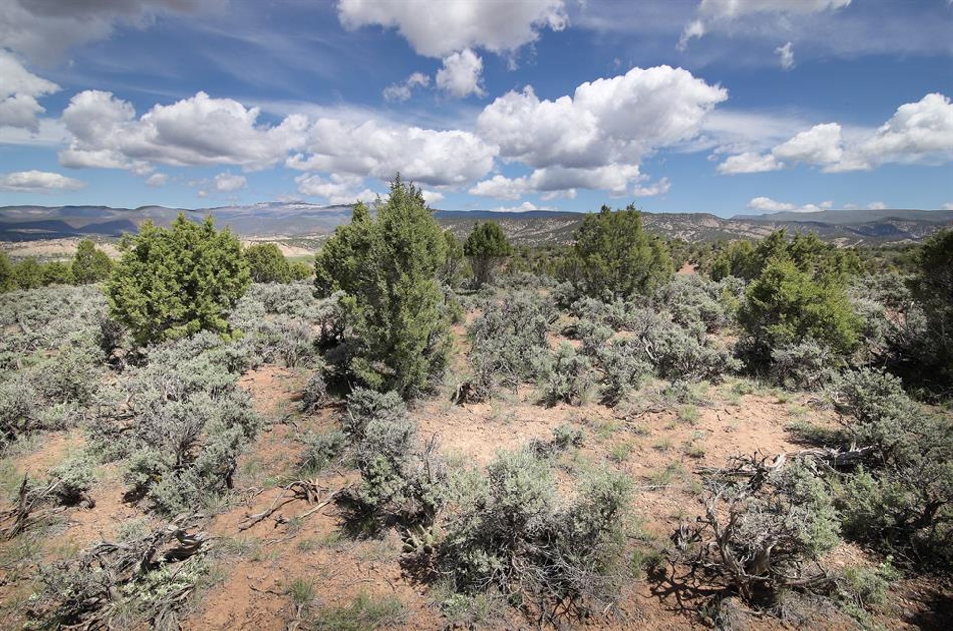 Land in Adelaar, Colorado 10769897