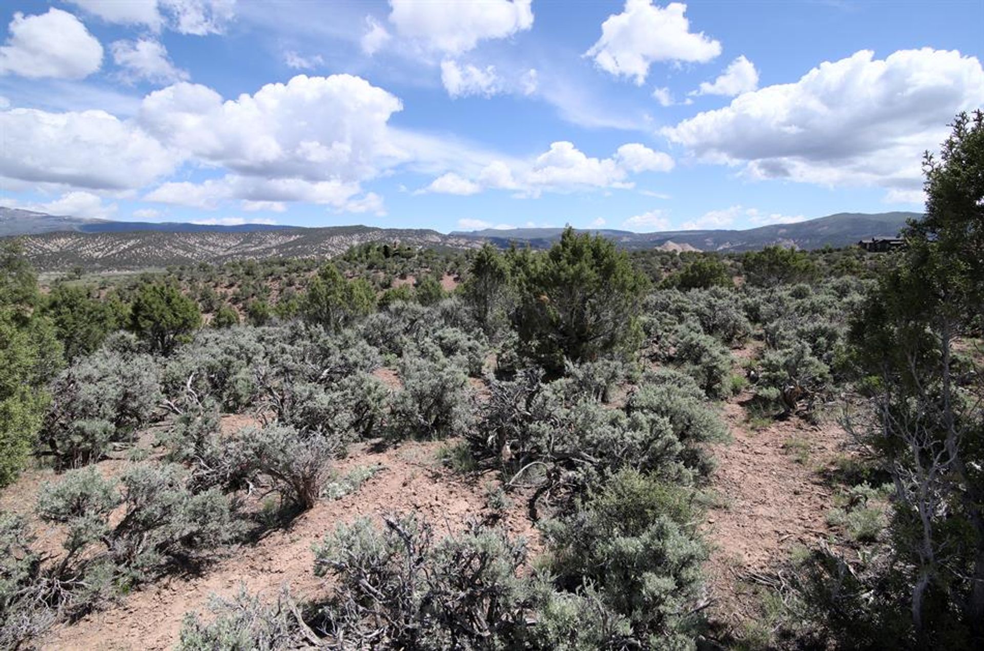 Land in Adelaar, Colorado 10769897