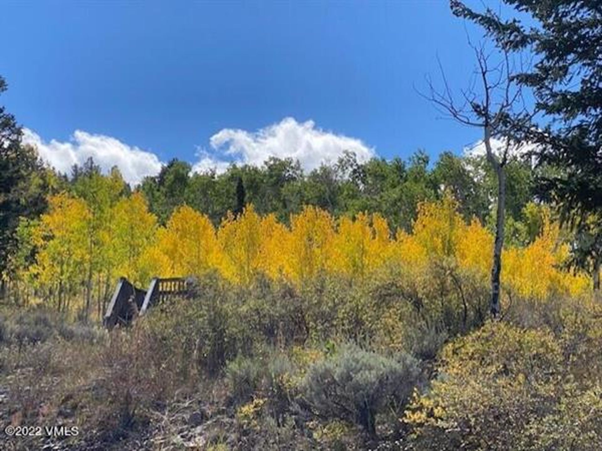 土地 在 Edwards, Colorado 10769898