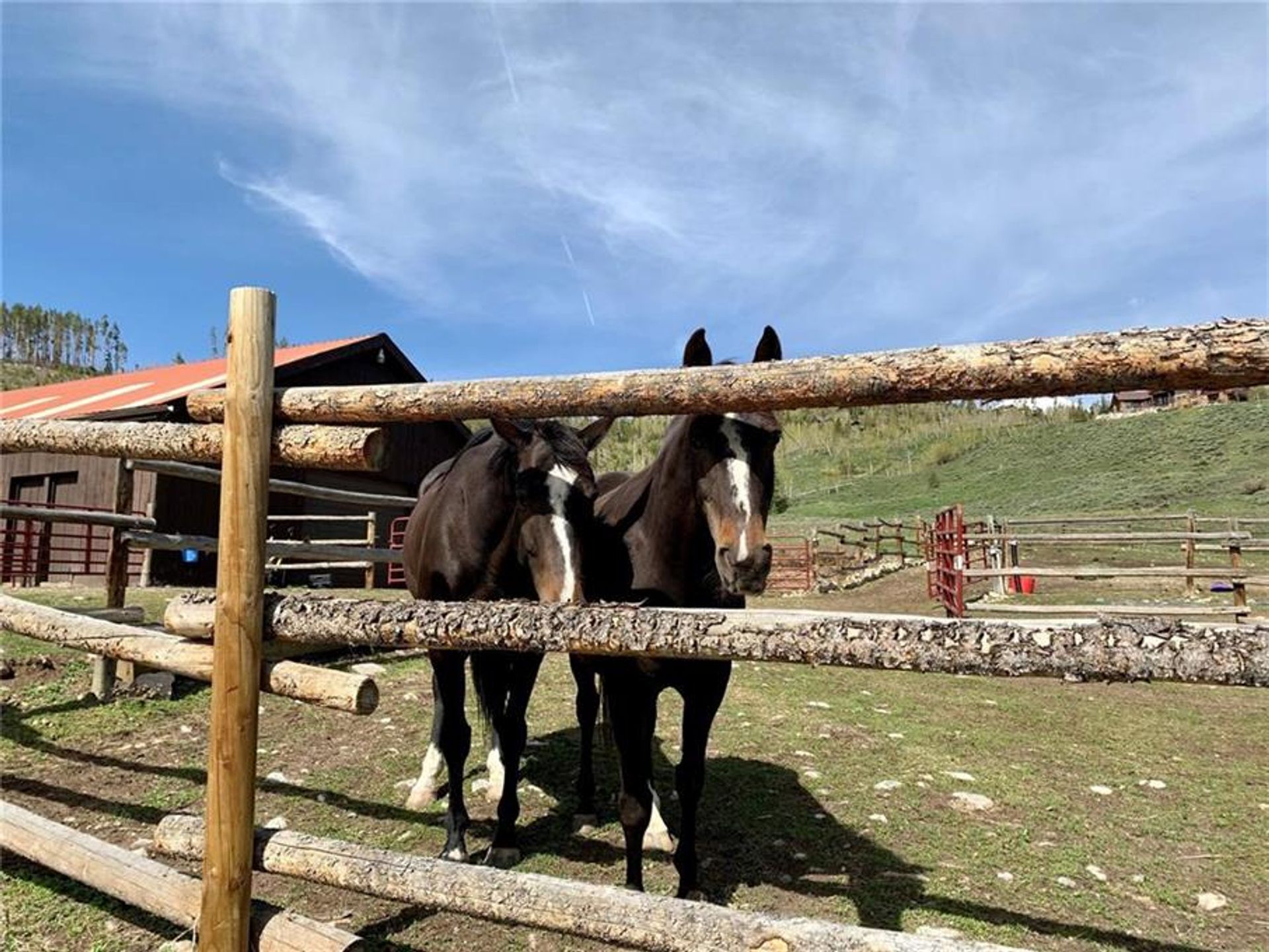 Tanah dalam Silverthorne, Colorado 10769963