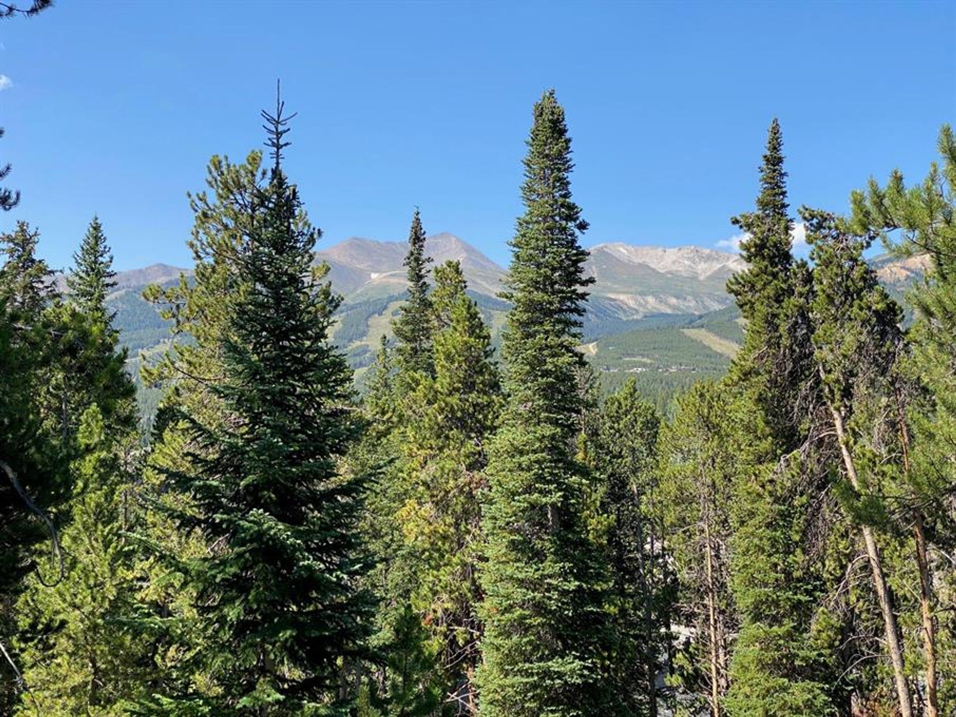 土地 在 Blue River, Colorado 10770081