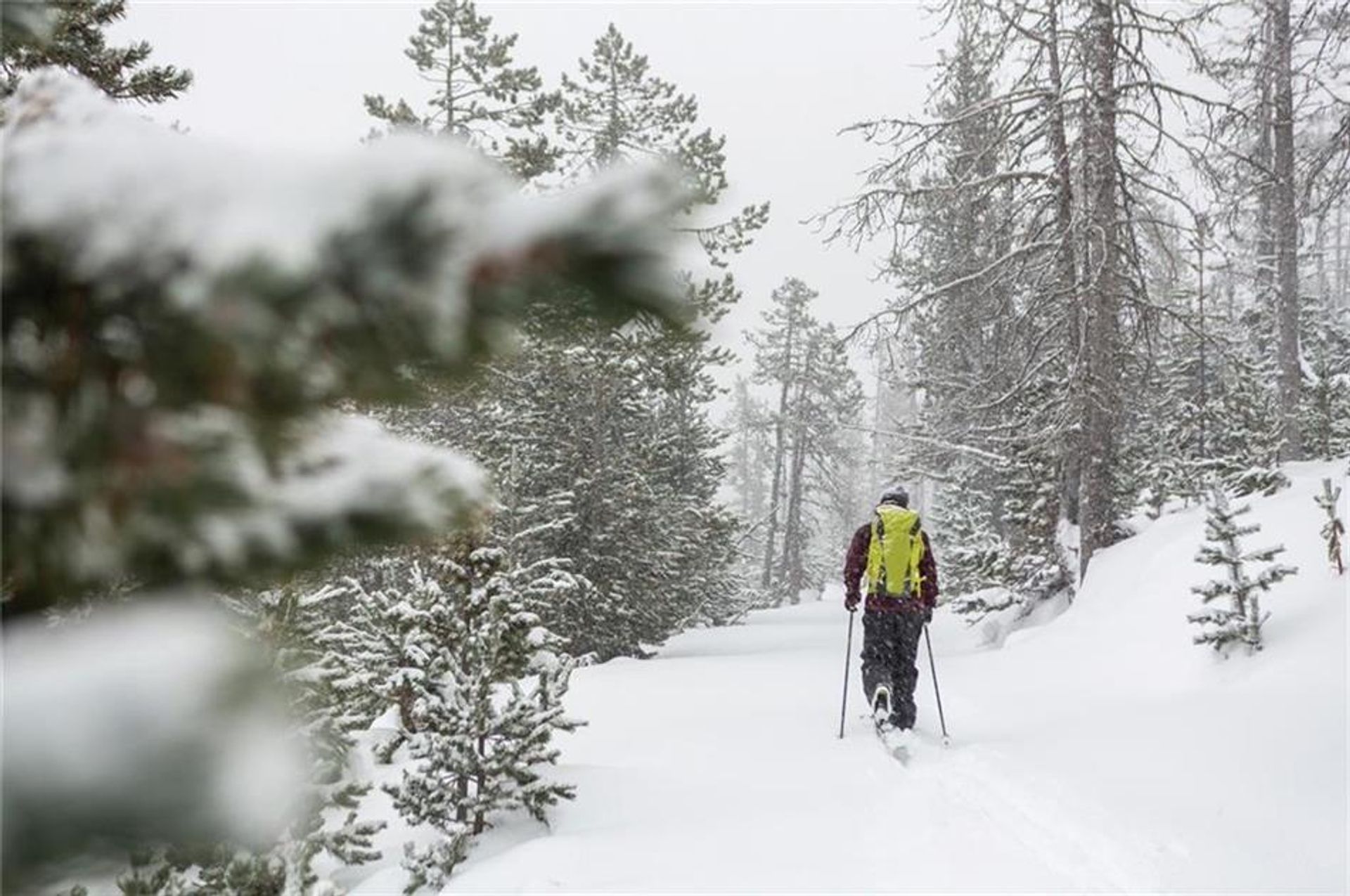 Terre dans Copper Mountain, Colorado 10770086