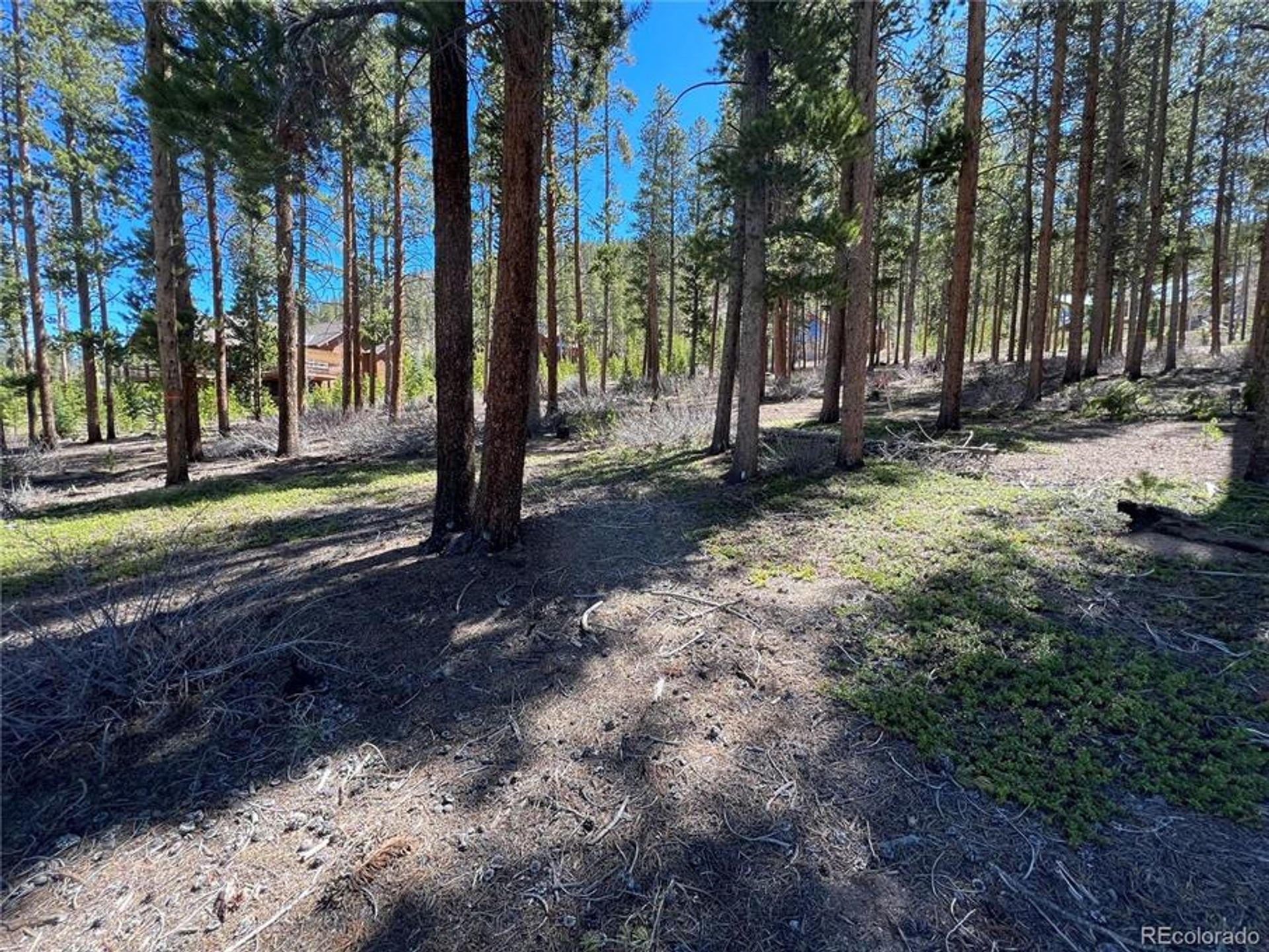 Land in Silverthorne, Colorado 10770088