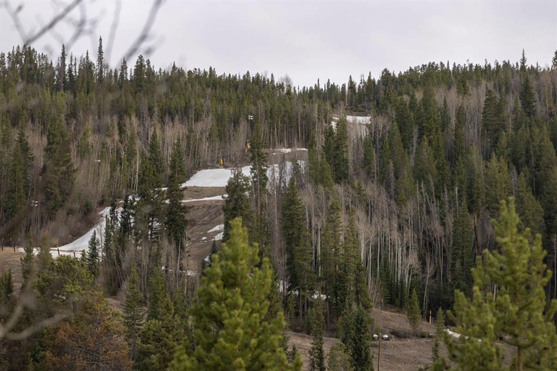 房子 在 Montezuma, Colorado 10770197