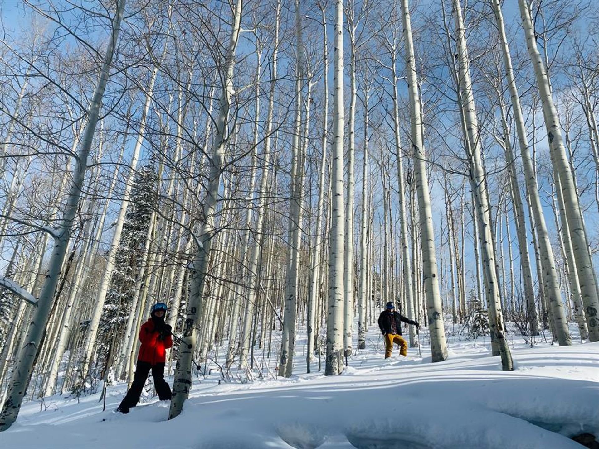 σπίτι σε Vail, Colorado 10770299