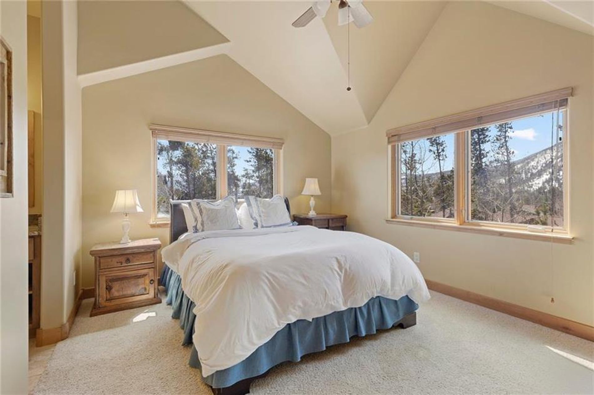 Hus i Frisco, Colorado 10770345