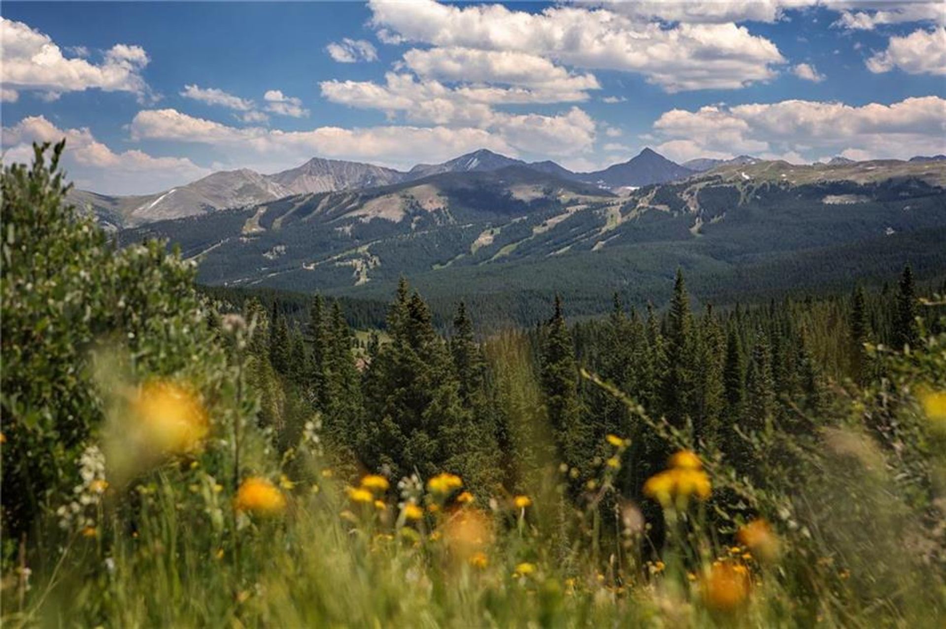 Jord i Copper Mountain, Colorado 10770391