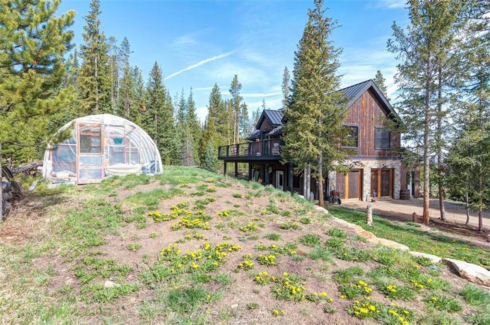 Hus i Breckenridge, Colorado 10770406