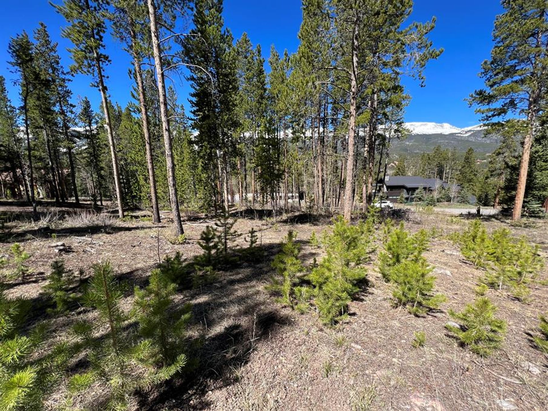 Land in Breckenridge, Colorado 10770439