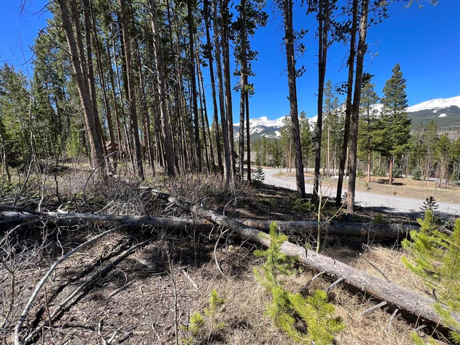 Land in Breckenridge, Colorado 10770439