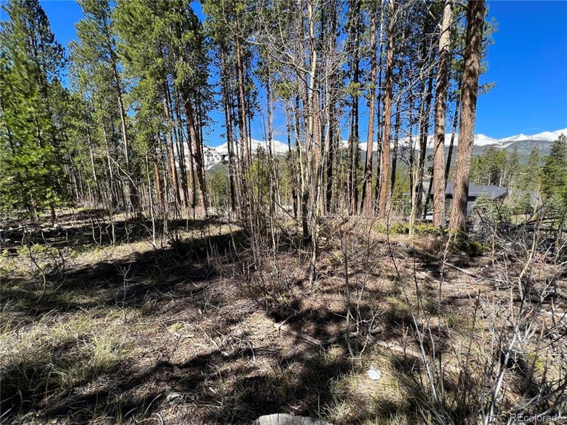 Land in Breckenridge, Colorado 10770440