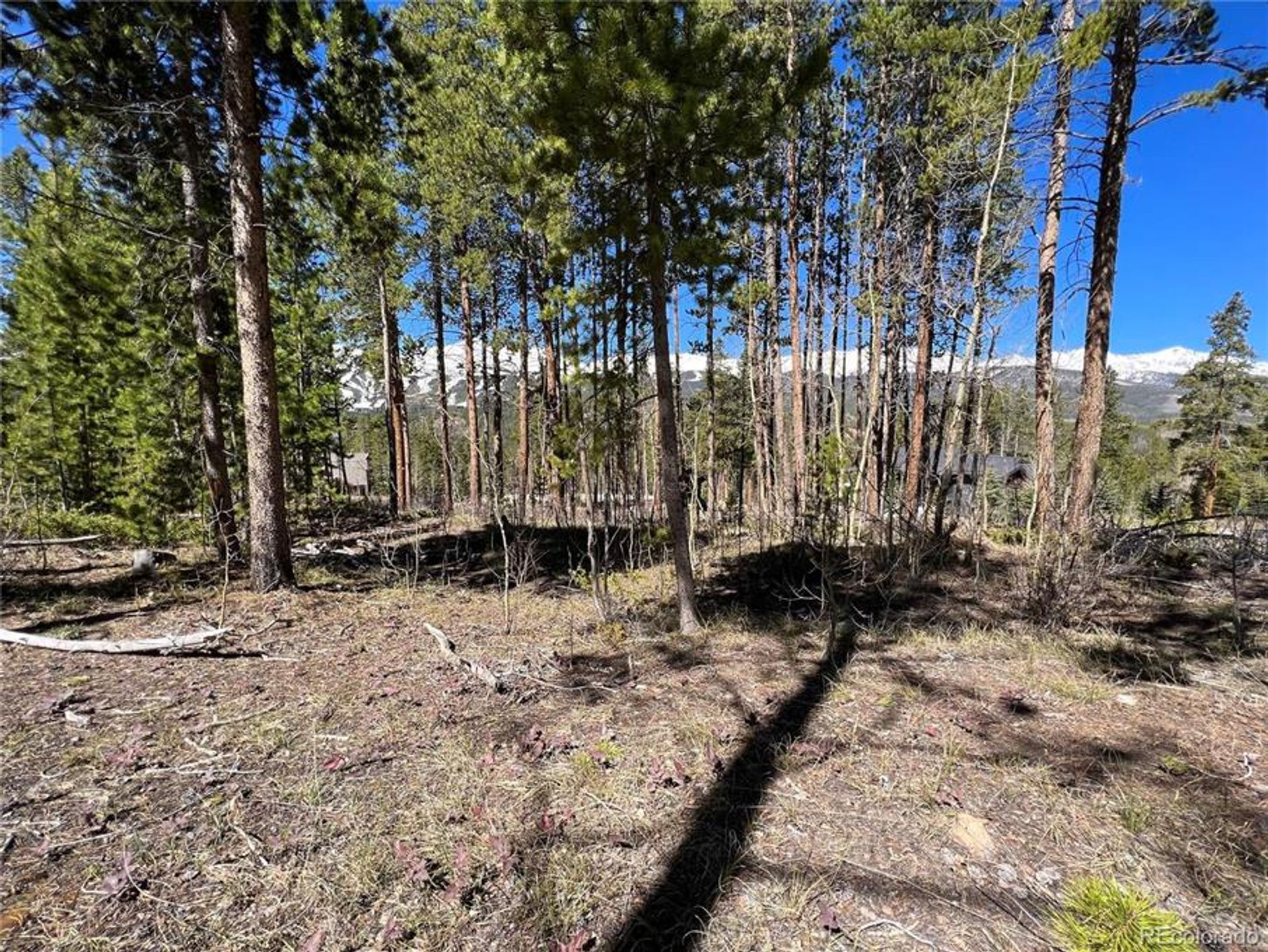 Land in Breckenridge, Colorado 10770440