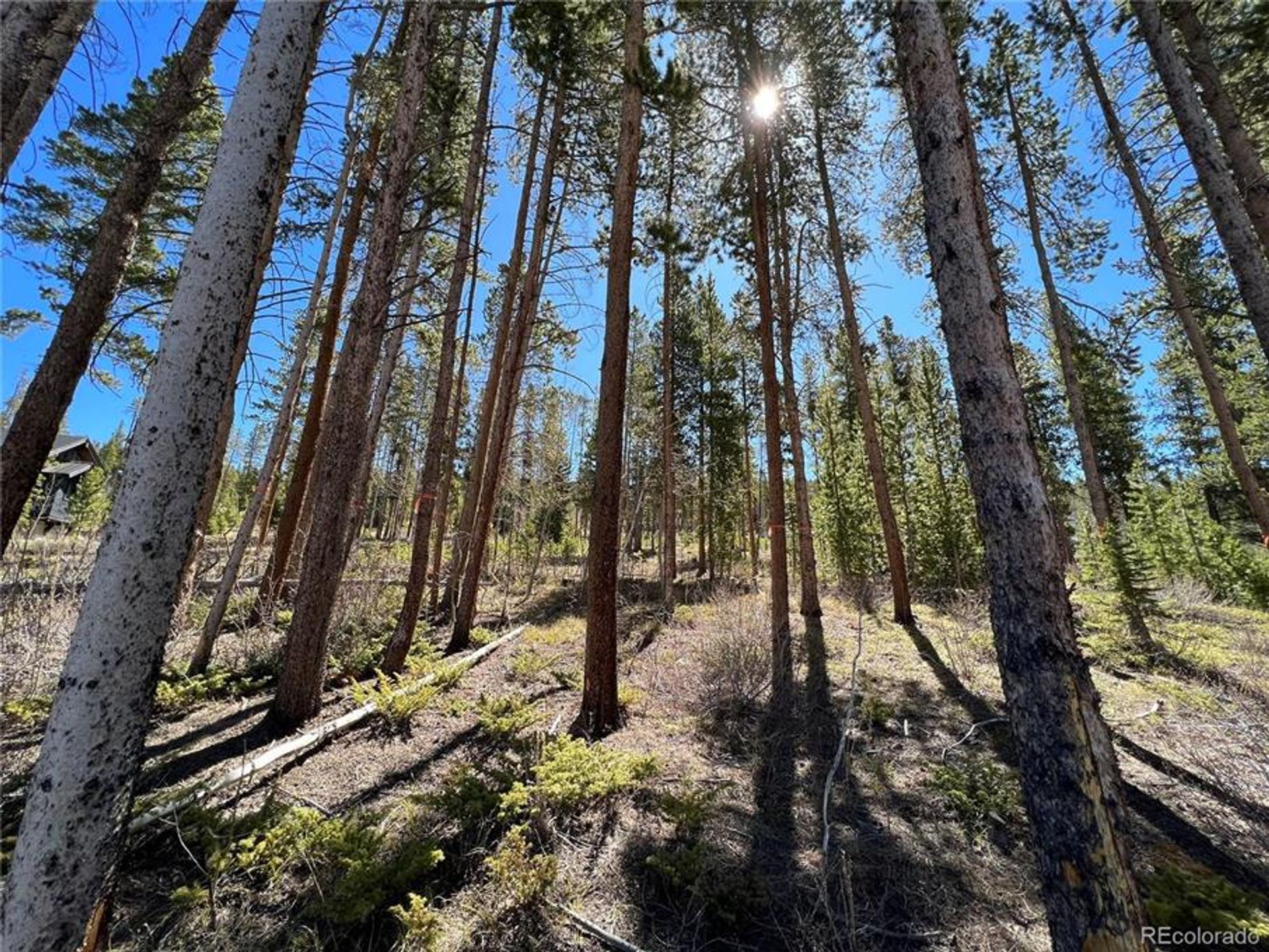 Земля в Breckenridge, Colorado 10770440