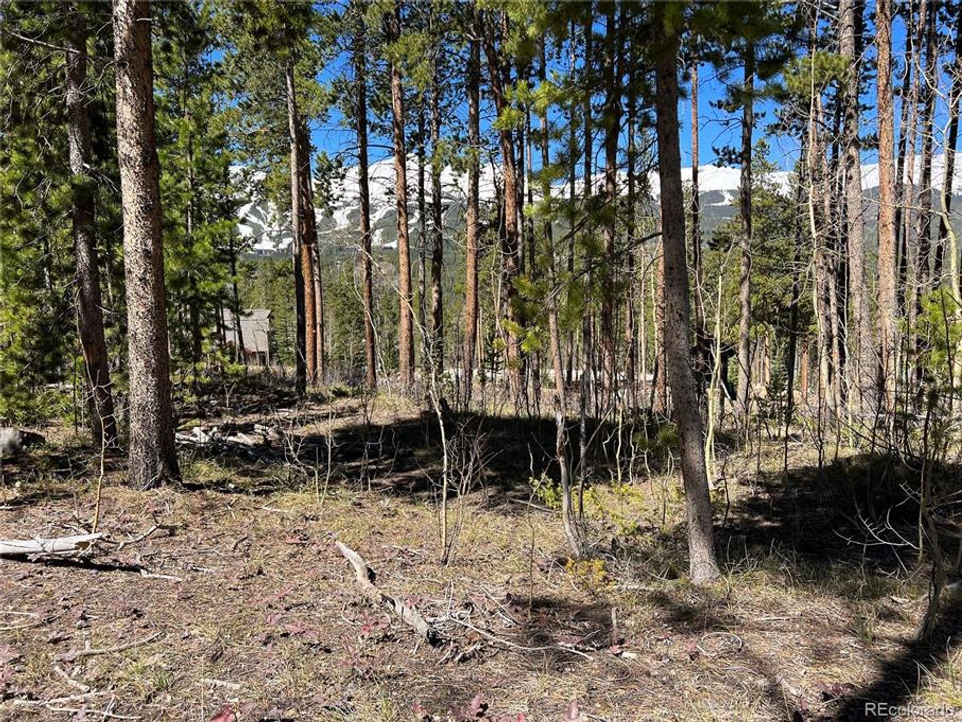 Land in Breckenridge, Colorado 10770440