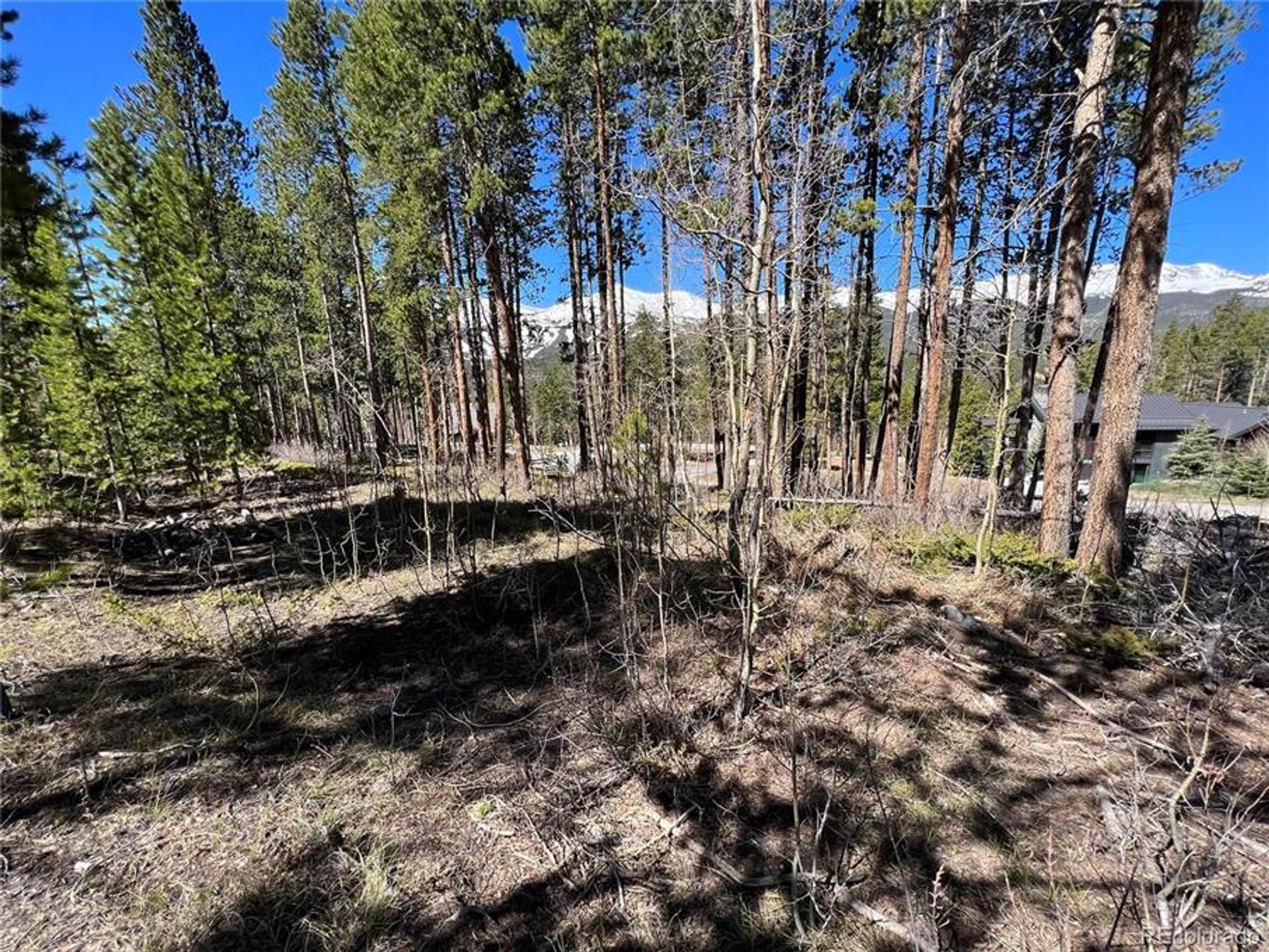 Land in Breckenridge, Colorado 10770440