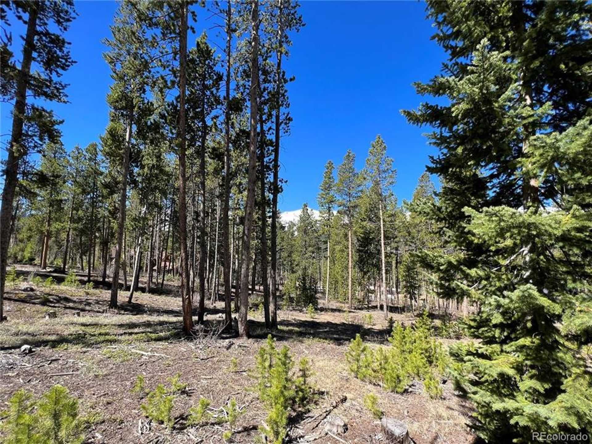 Land in Breckenridge, Colorado 10770440