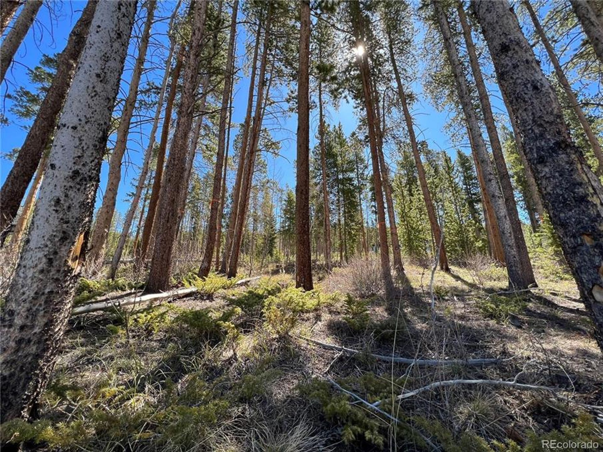 土地 在 Breckenridge, Colorado 10770440