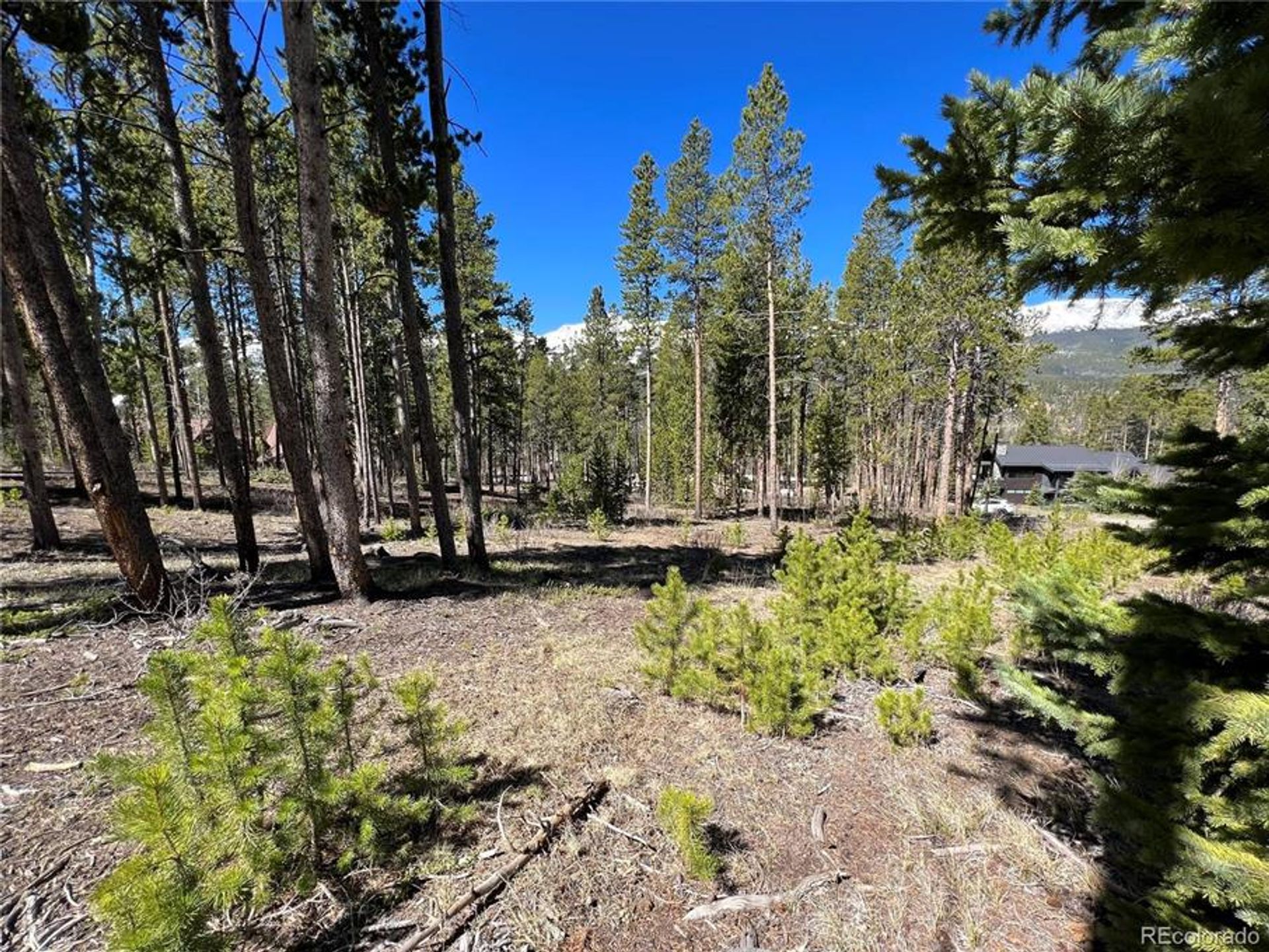 Land in Breckenridge, Colorado 10770440