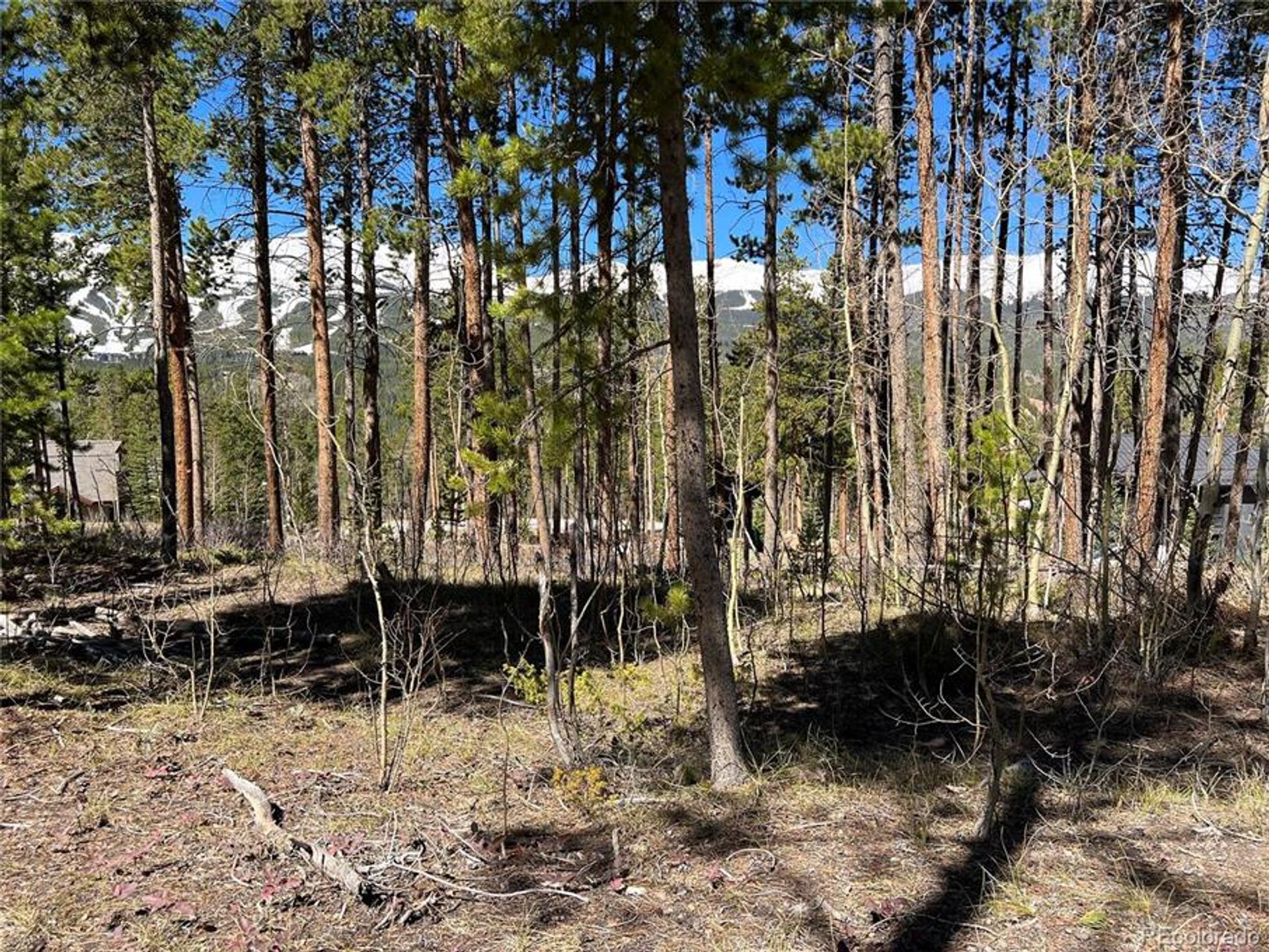 Land in Breckenridge, Colorado 10770440