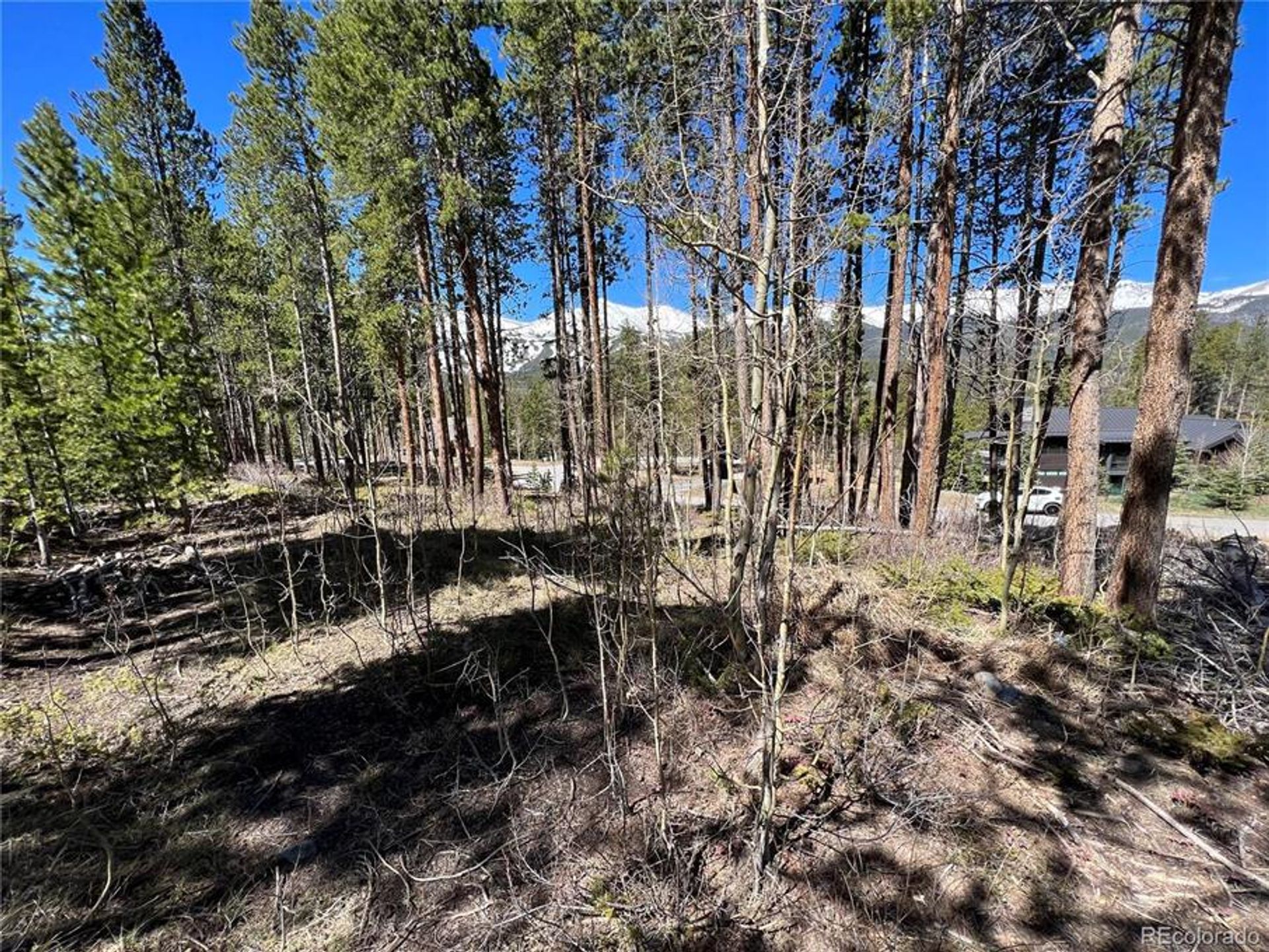 Land in Breckenridge, Colorado 10770440