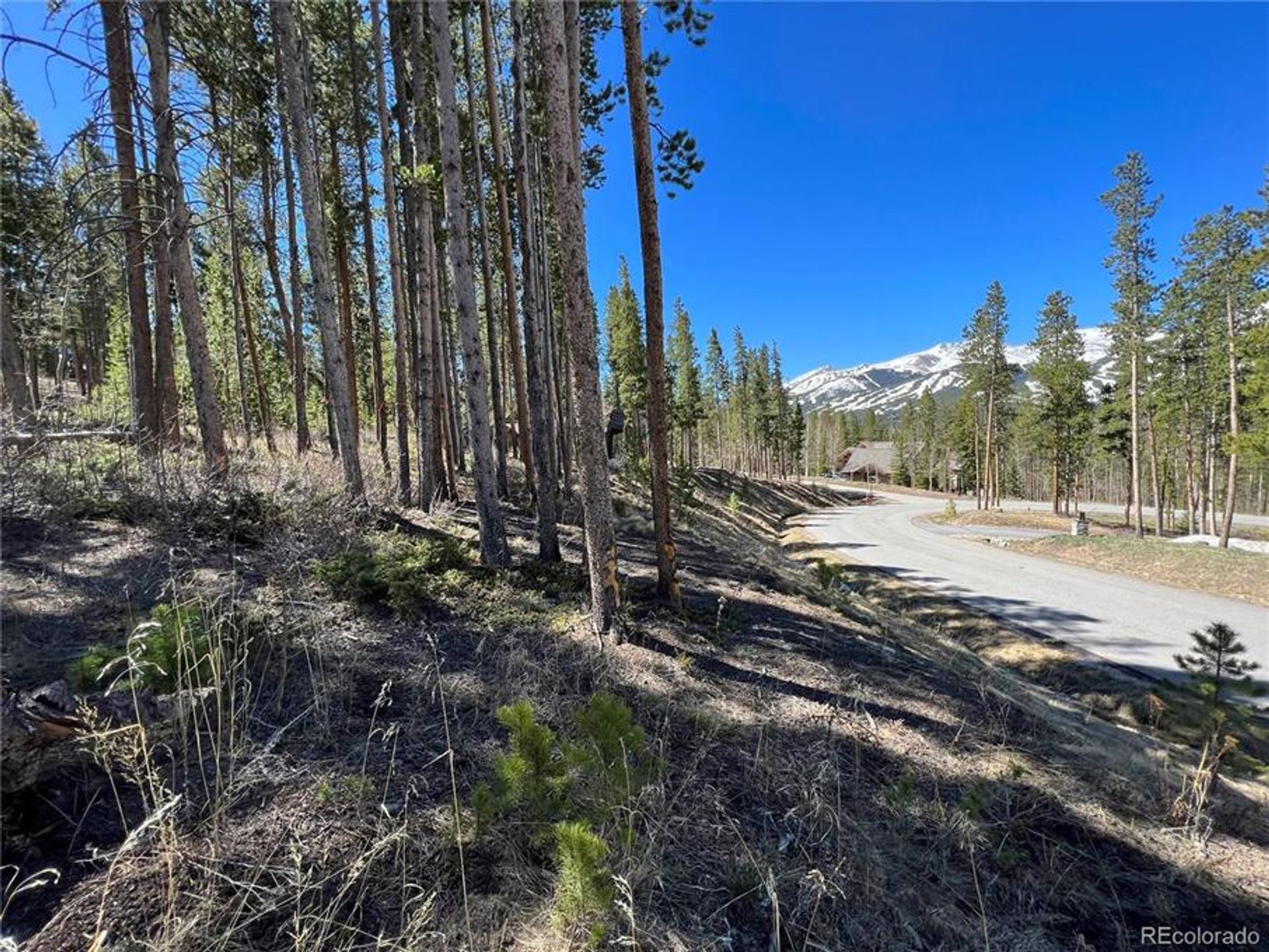 Land in Breckenridge, Colorado 10770440