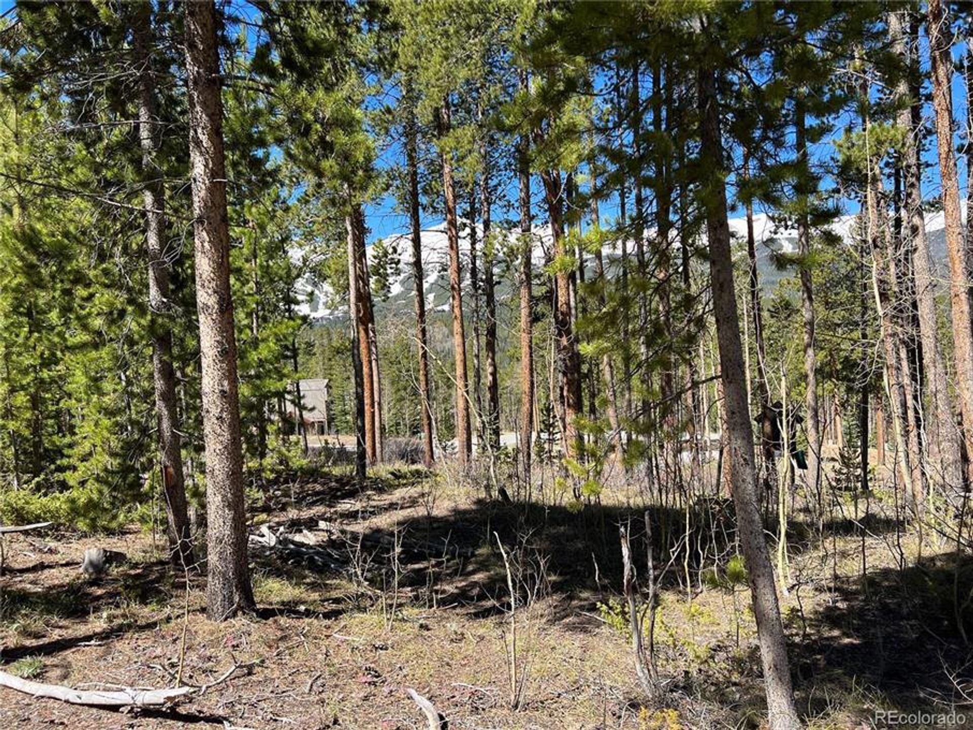 Land in Breckenridge, Colorado 10770440