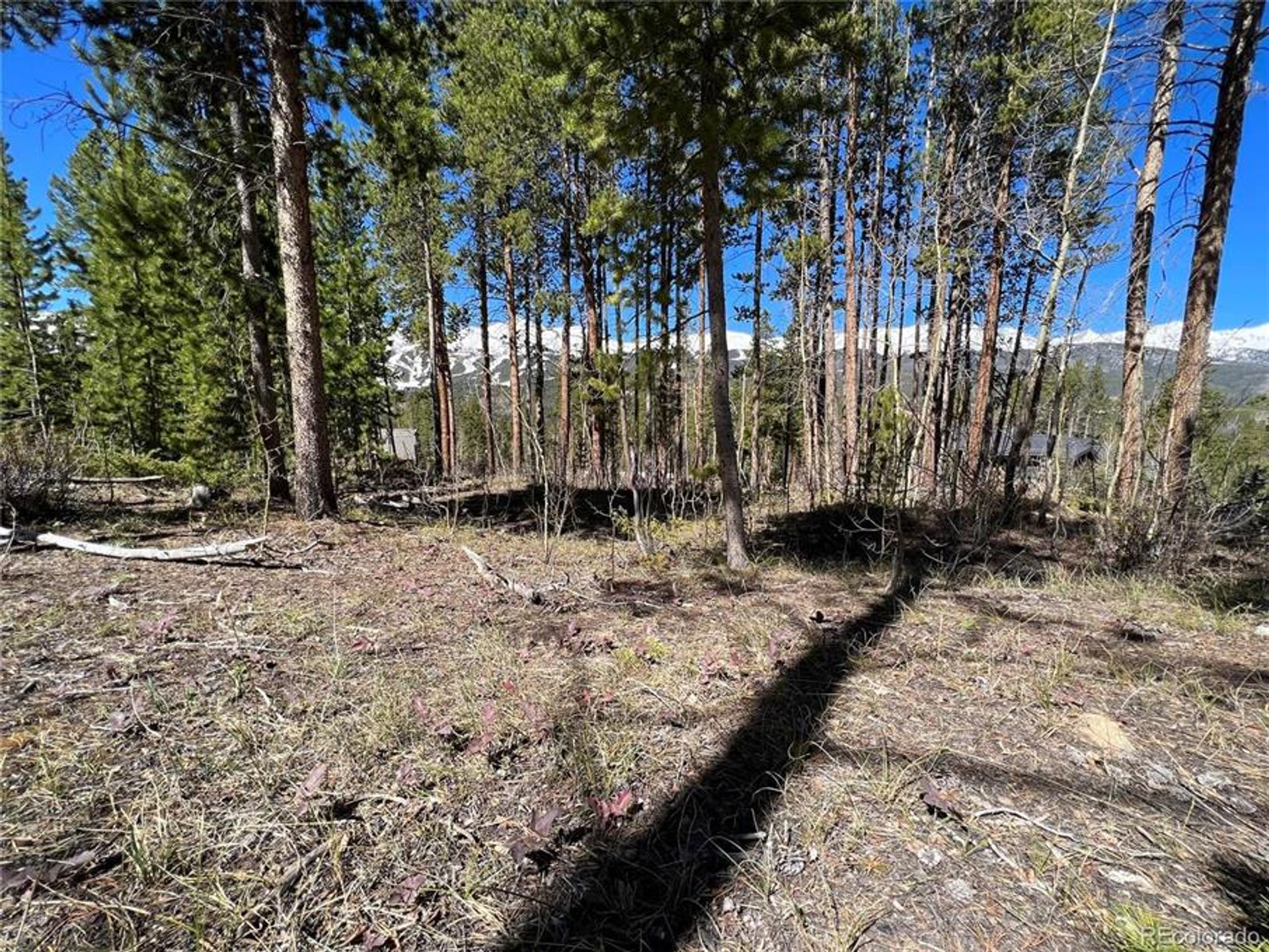 Land in Breckenridge, Colorado 10770440