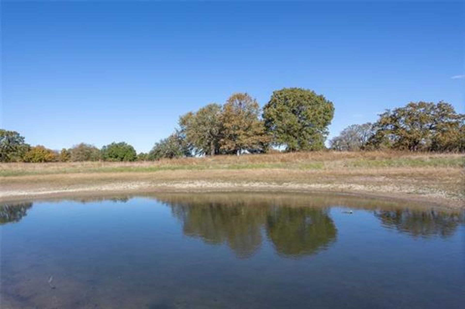 House in Aledo, Texas 10771378